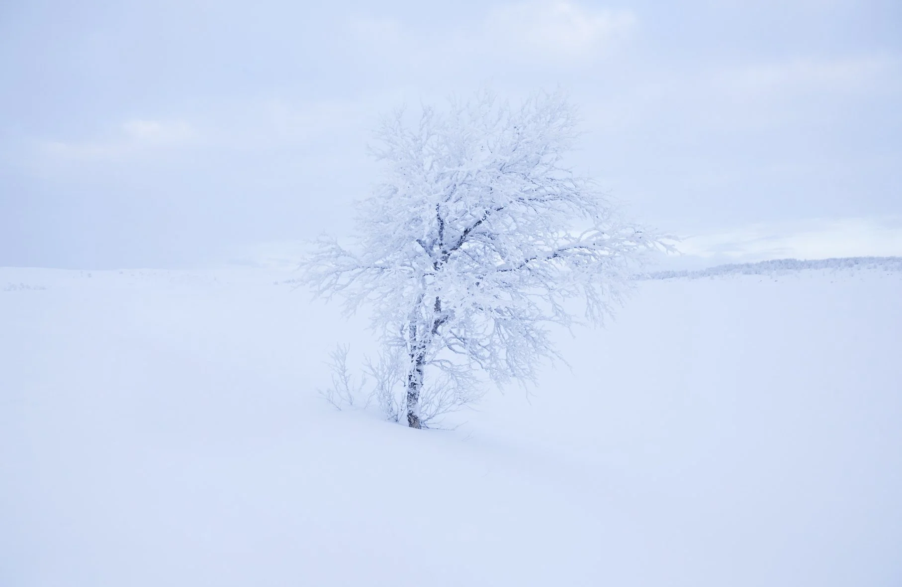 Røros_Foto_Ronny Danielsen01.jpg