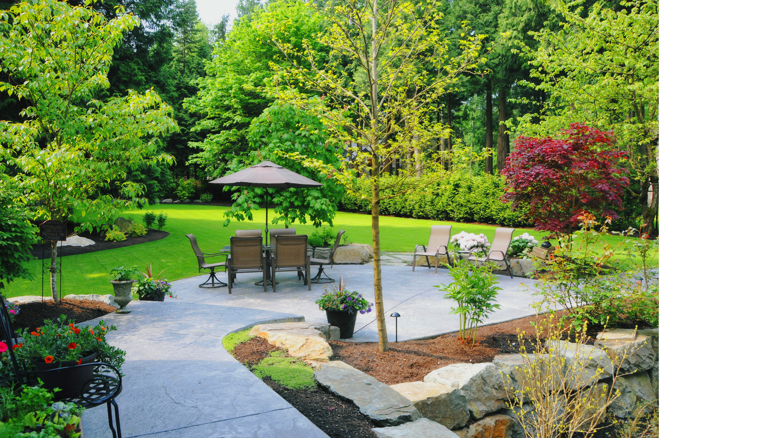 Untitled design-9.png