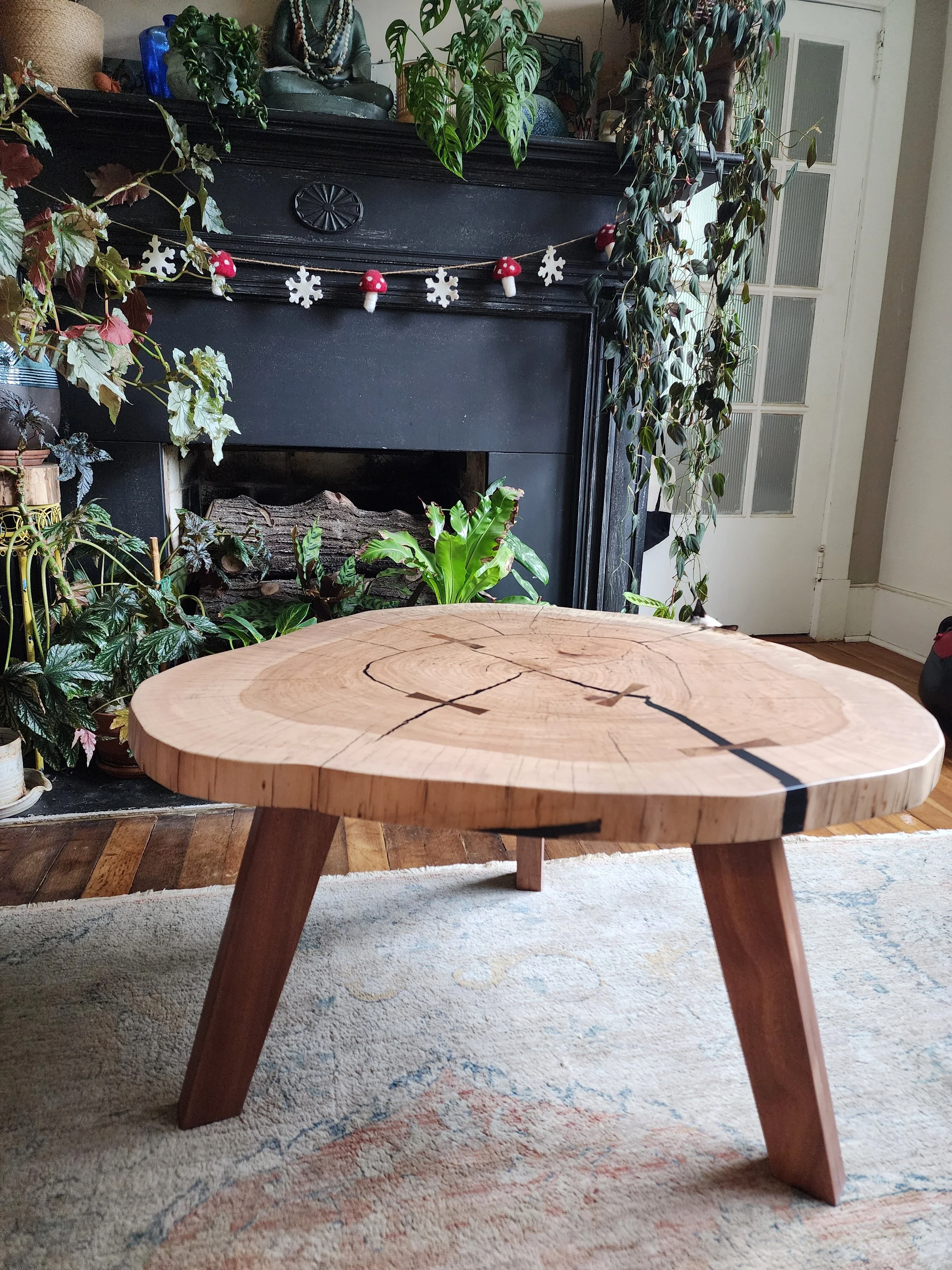 Tree Cookie Table 