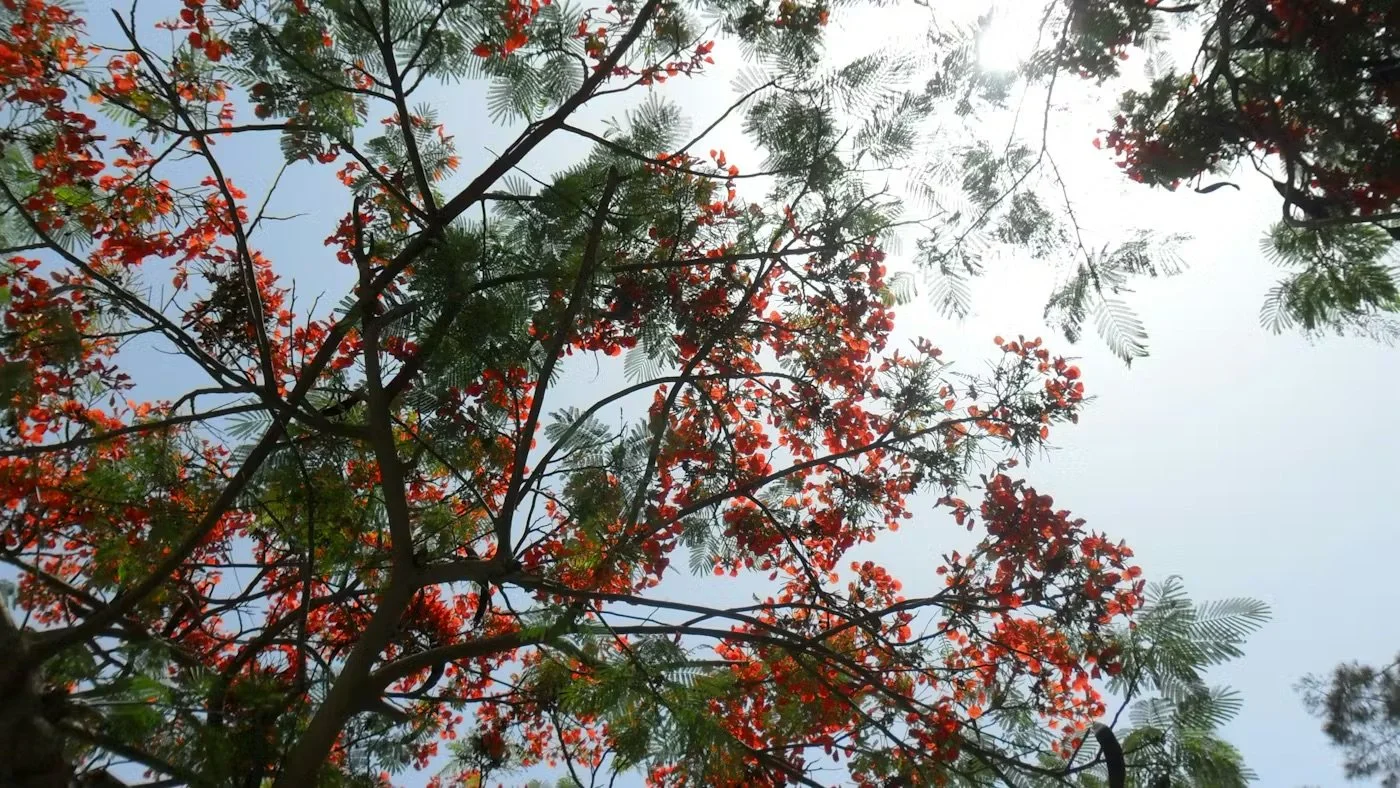 When Troubles Come, Meditate on the Trinity