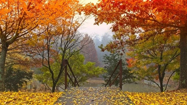 Women’s One-Day Retreat
