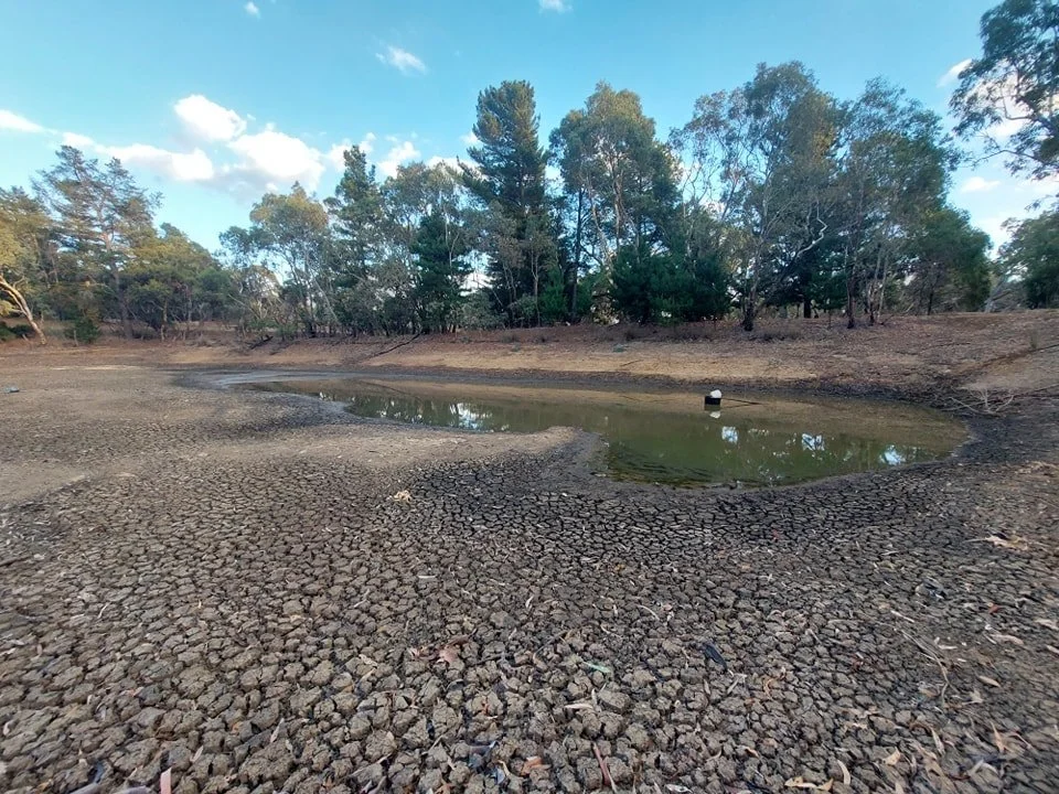 💦 Water Carting &ndash; 9,000L Loads 💦

Now offering increased capacity due to demand!

With the ongoing dry spell, we&rsquo;ve re-purposed our firefighting equipment to provide emergency water deliveries for livestock, gardens and pets. Book now! 