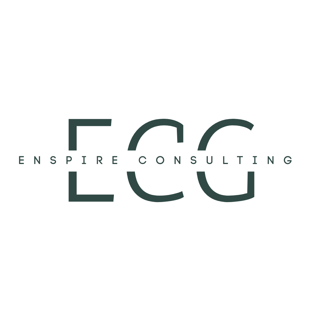 Enspire Consulting Group