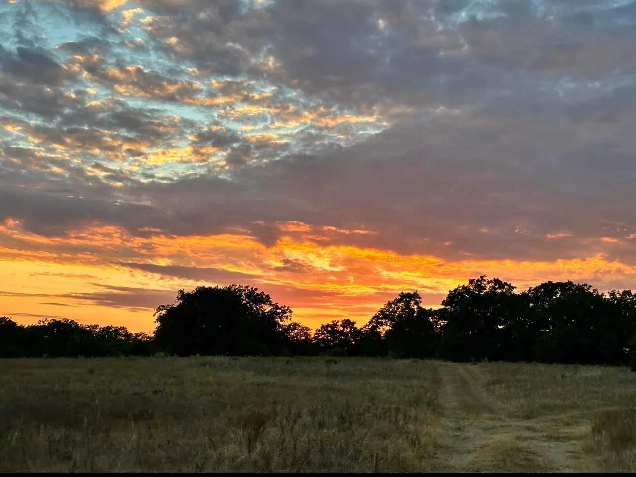 The Meaning of WhistleStop Part 1: The name