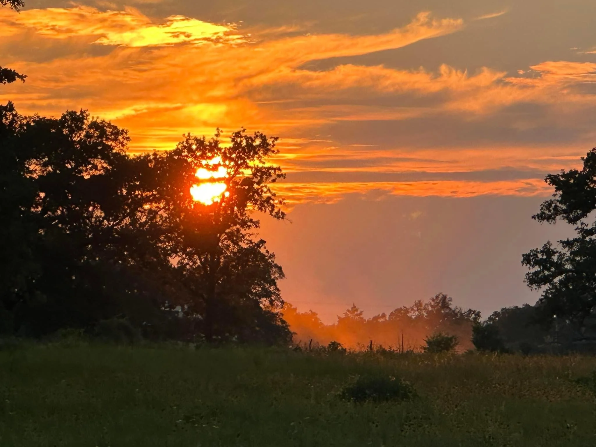 The Meaning of WhistleStop Acres Part 3:  Purpose