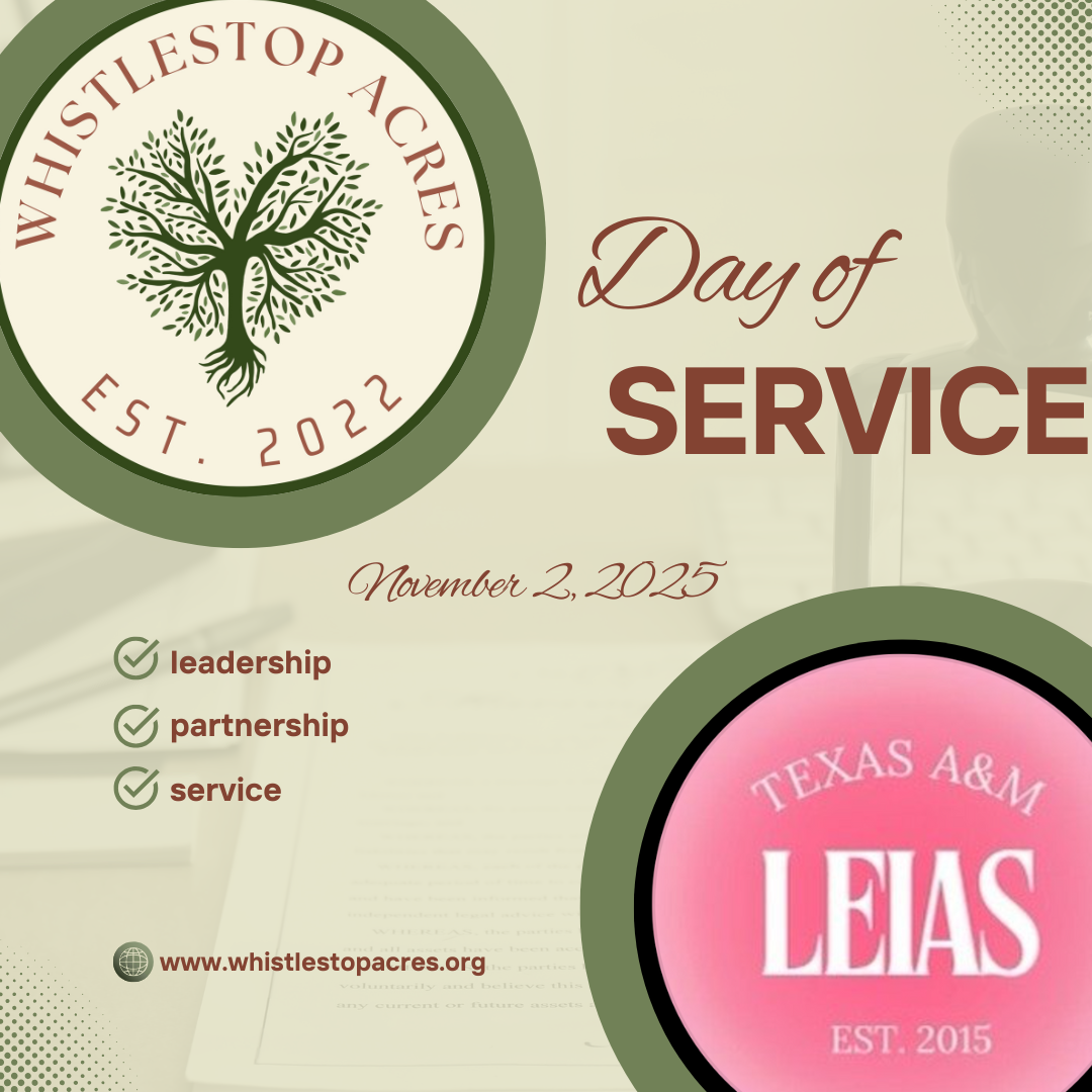 LEIAS Service Day 