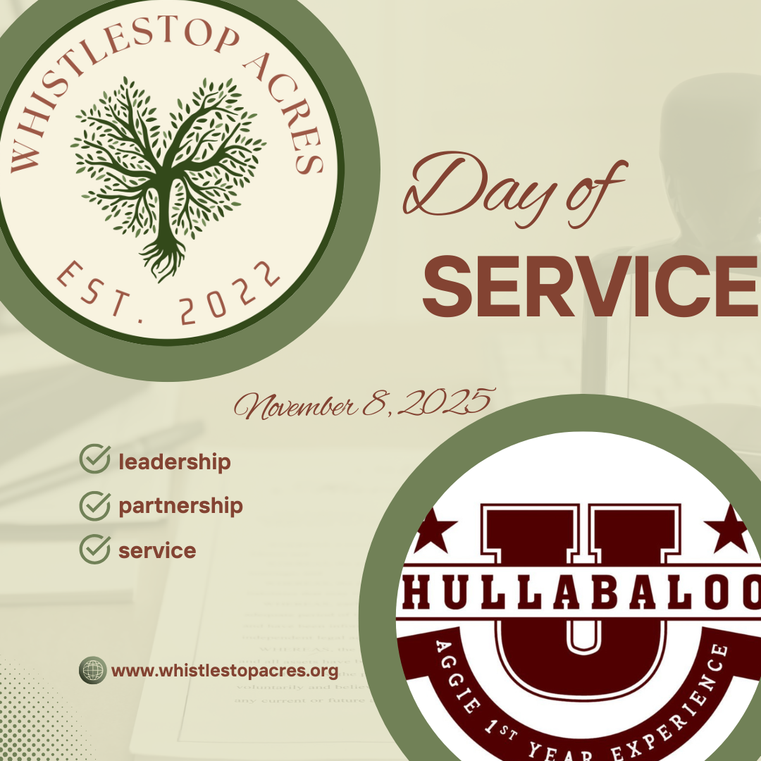 Hullaballoo Peer Mentor Service Day 