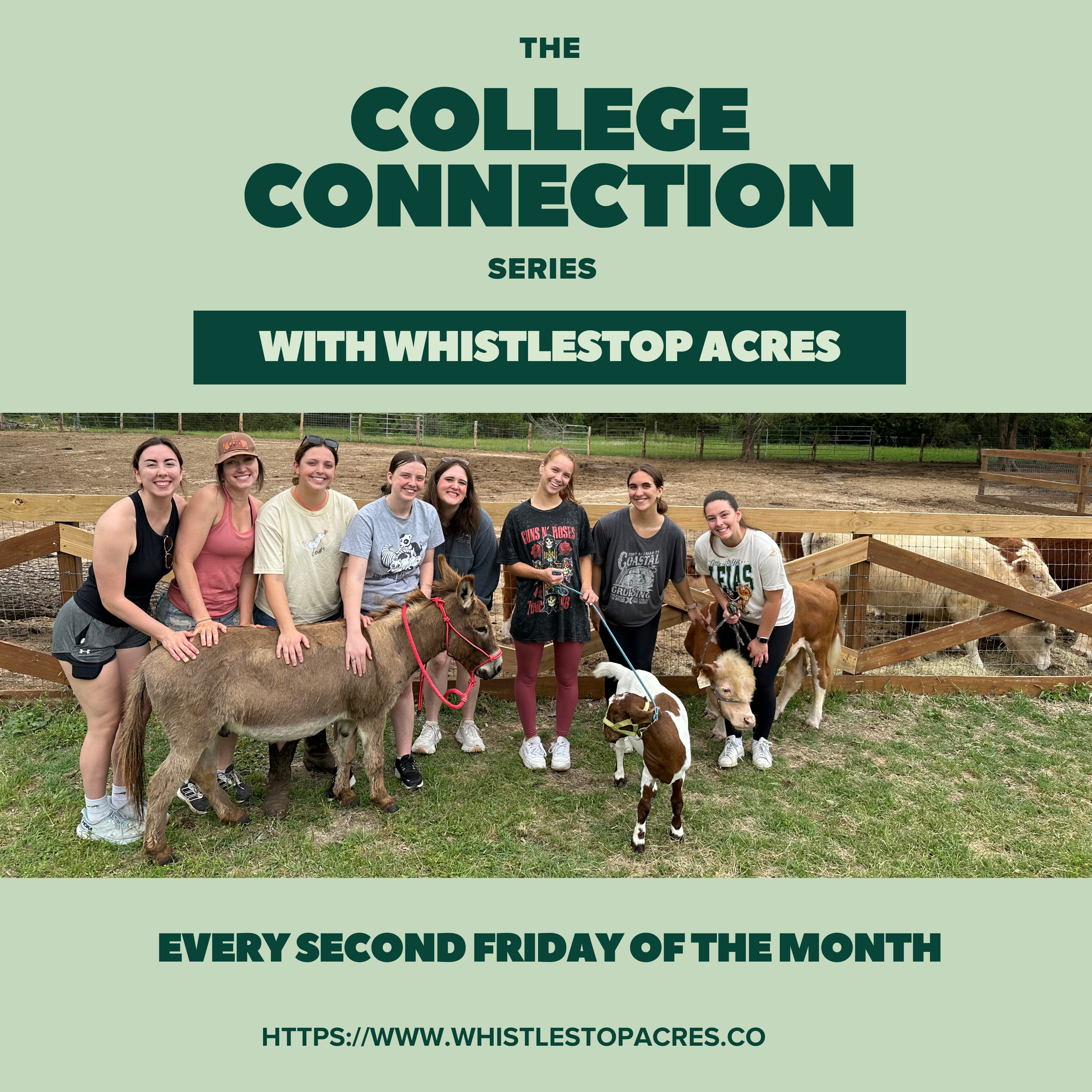 College Connection Series