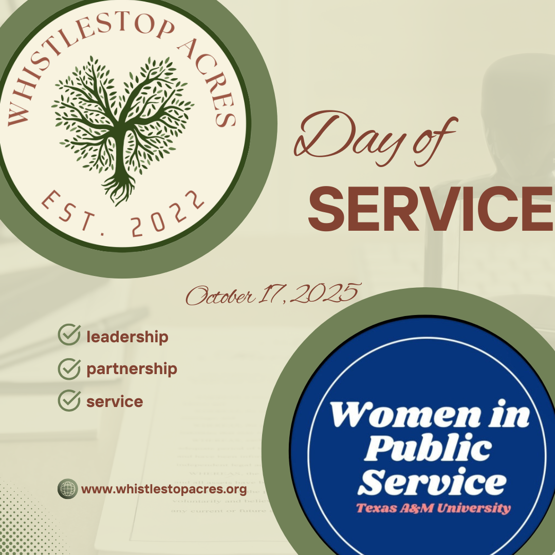 Women of Public Service Org Day of Service