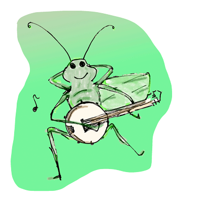 The Katydid