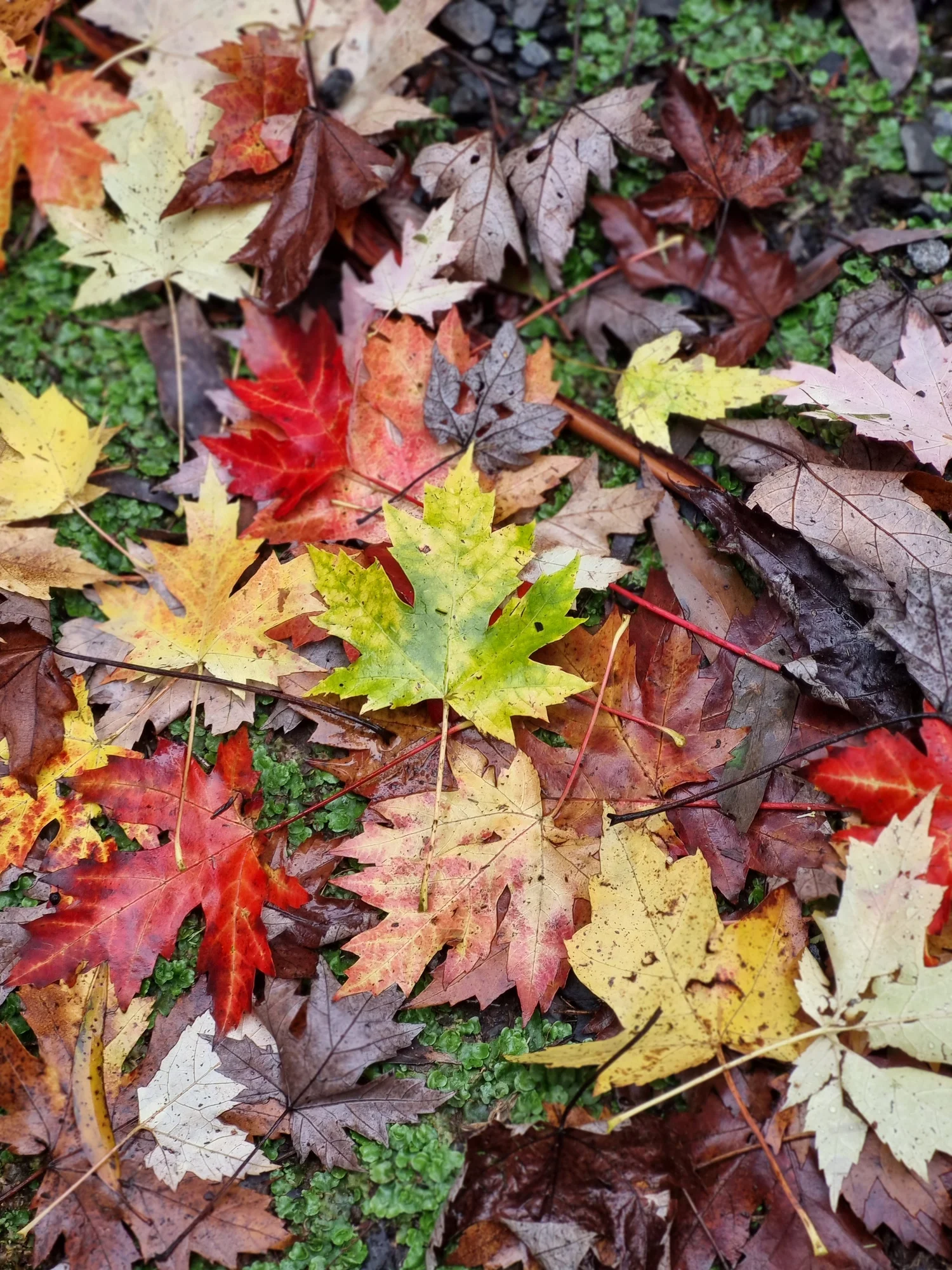 Our People Eden Future