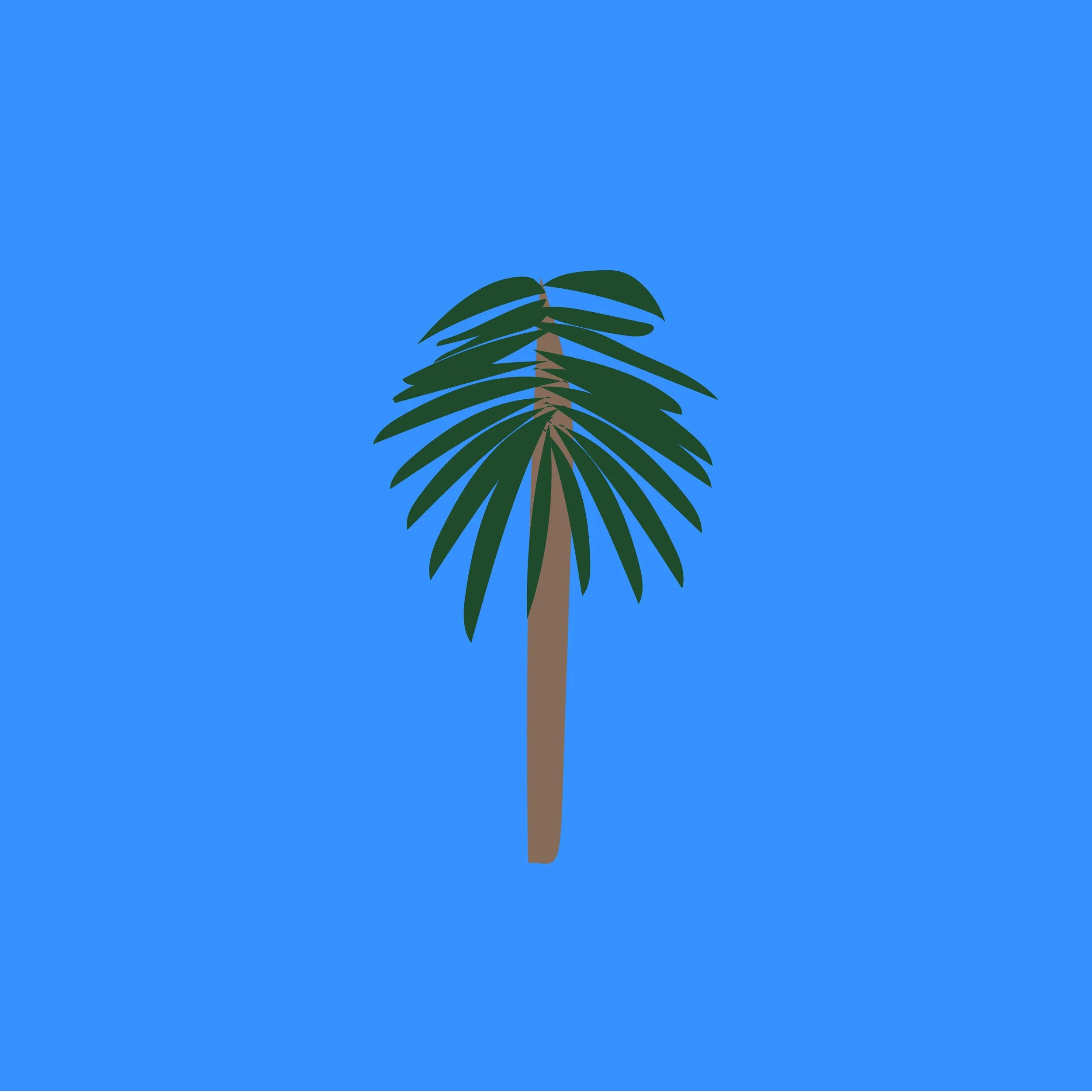 Lancewood.jpg