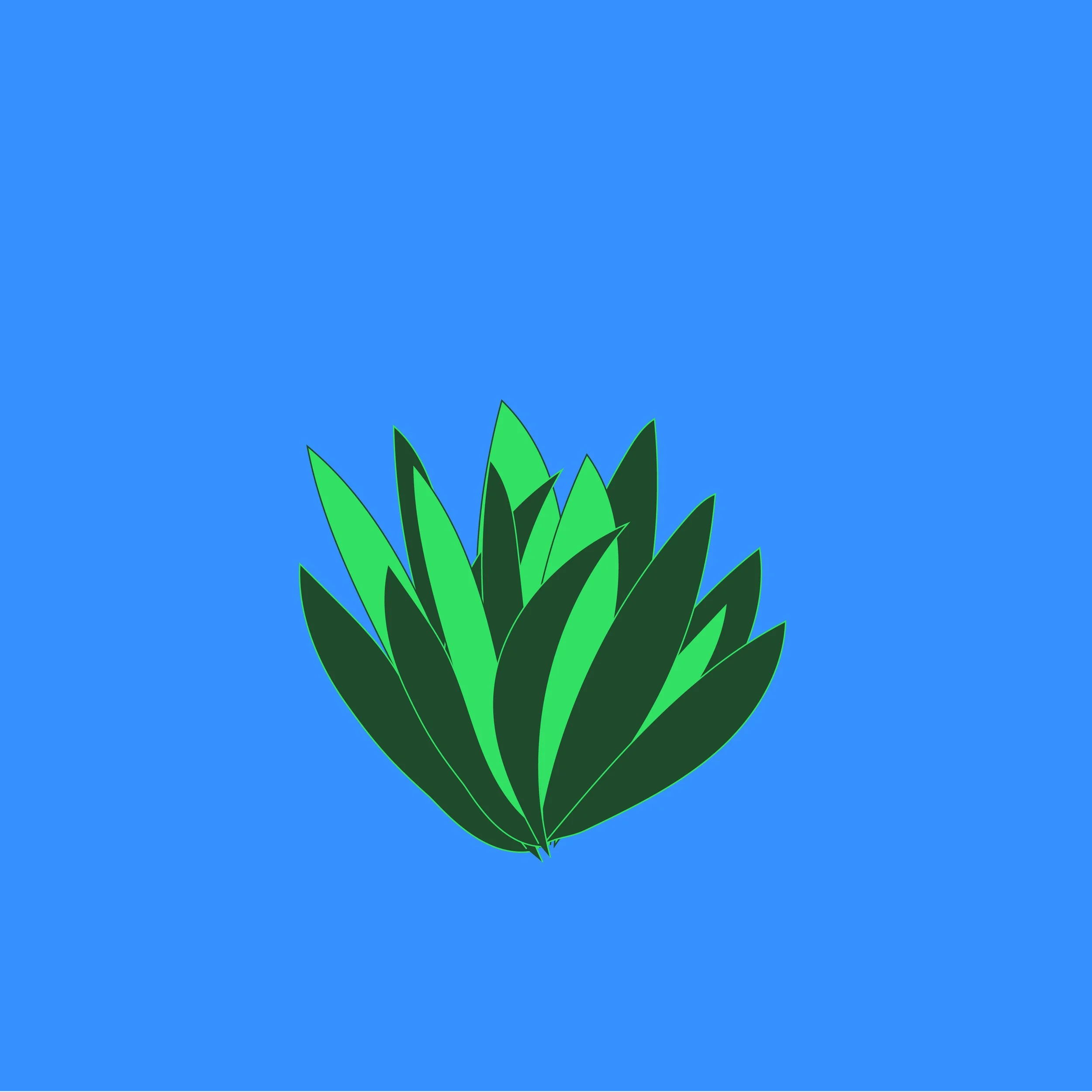 NZ Flax.jpg