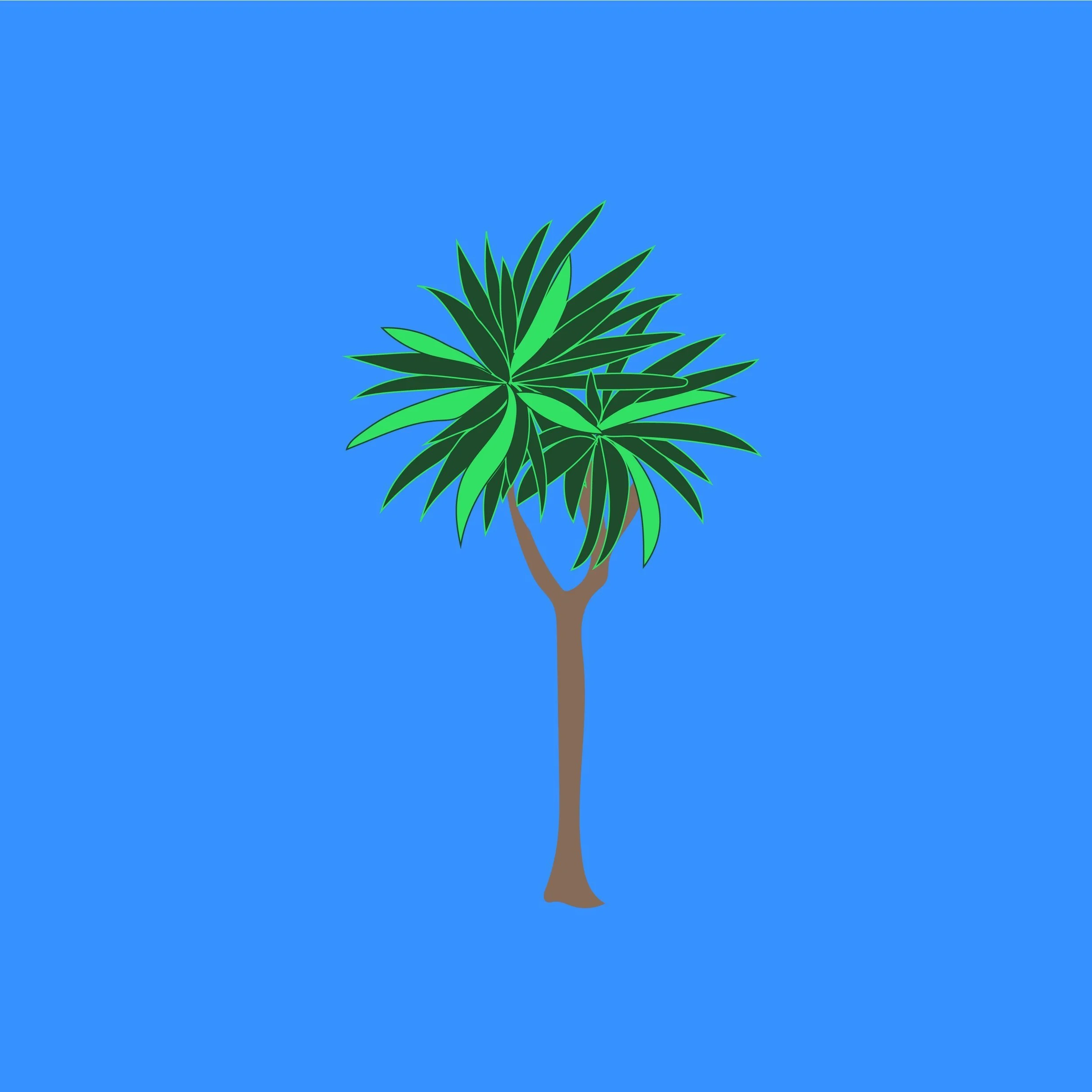 Cabbage tree.jpg