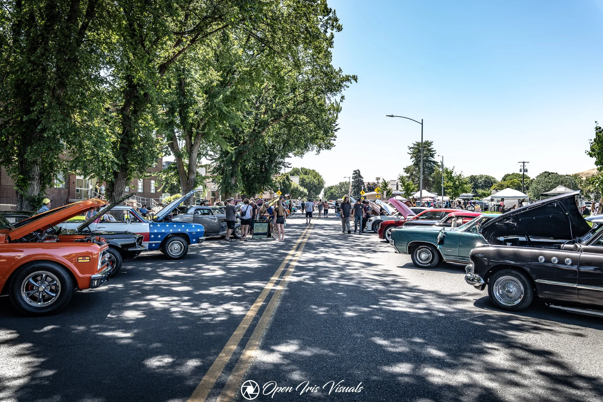 A street fair with numerous vintage and classic cars displayed on both sides of the street, under large green trees with a clear blue sky overhead, with people walking and viewing the cars.