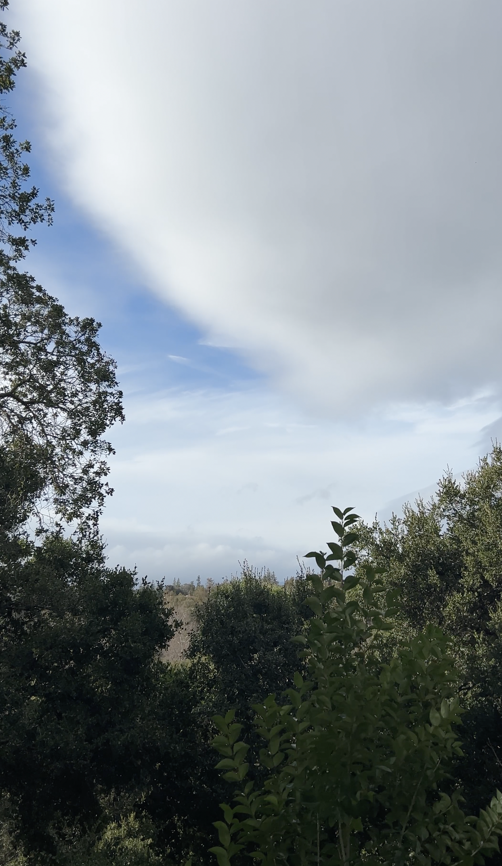 Screen Shot 2025-02-02 at 3.28.57 PM.png