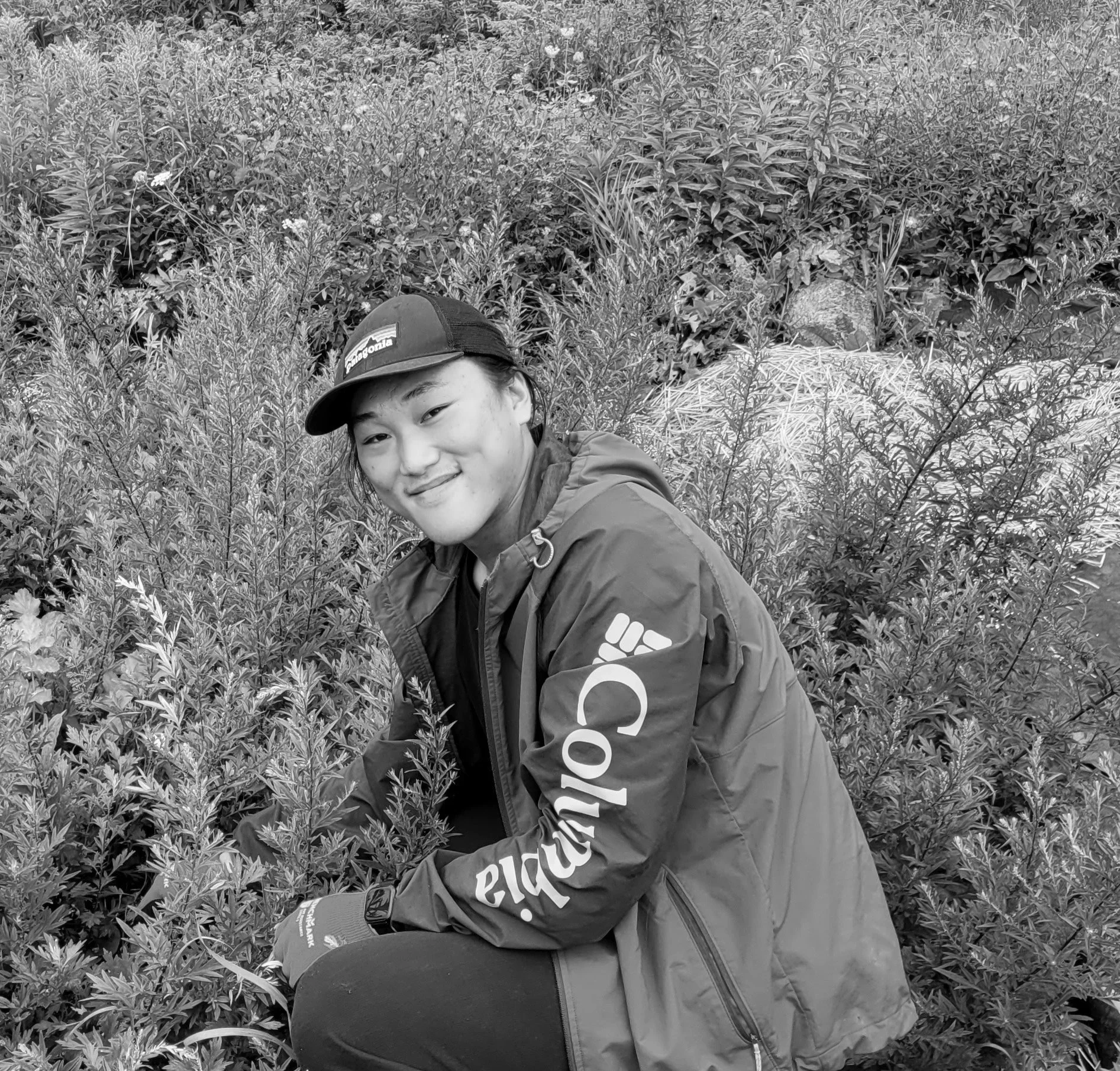 Alex Deng Frozen Sea alex-deng-frozen-sea