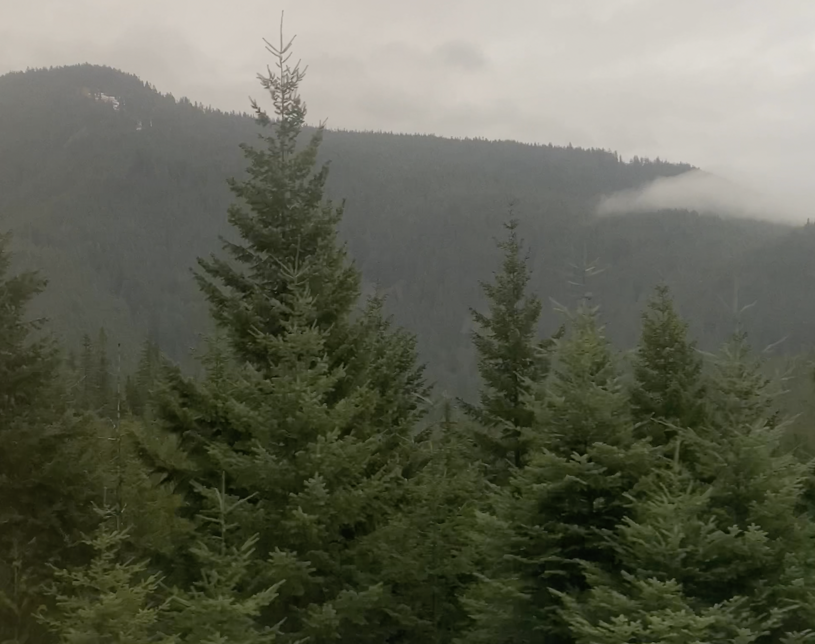 Screen Shot 2023-12-04 at 8.36.13 PM.png