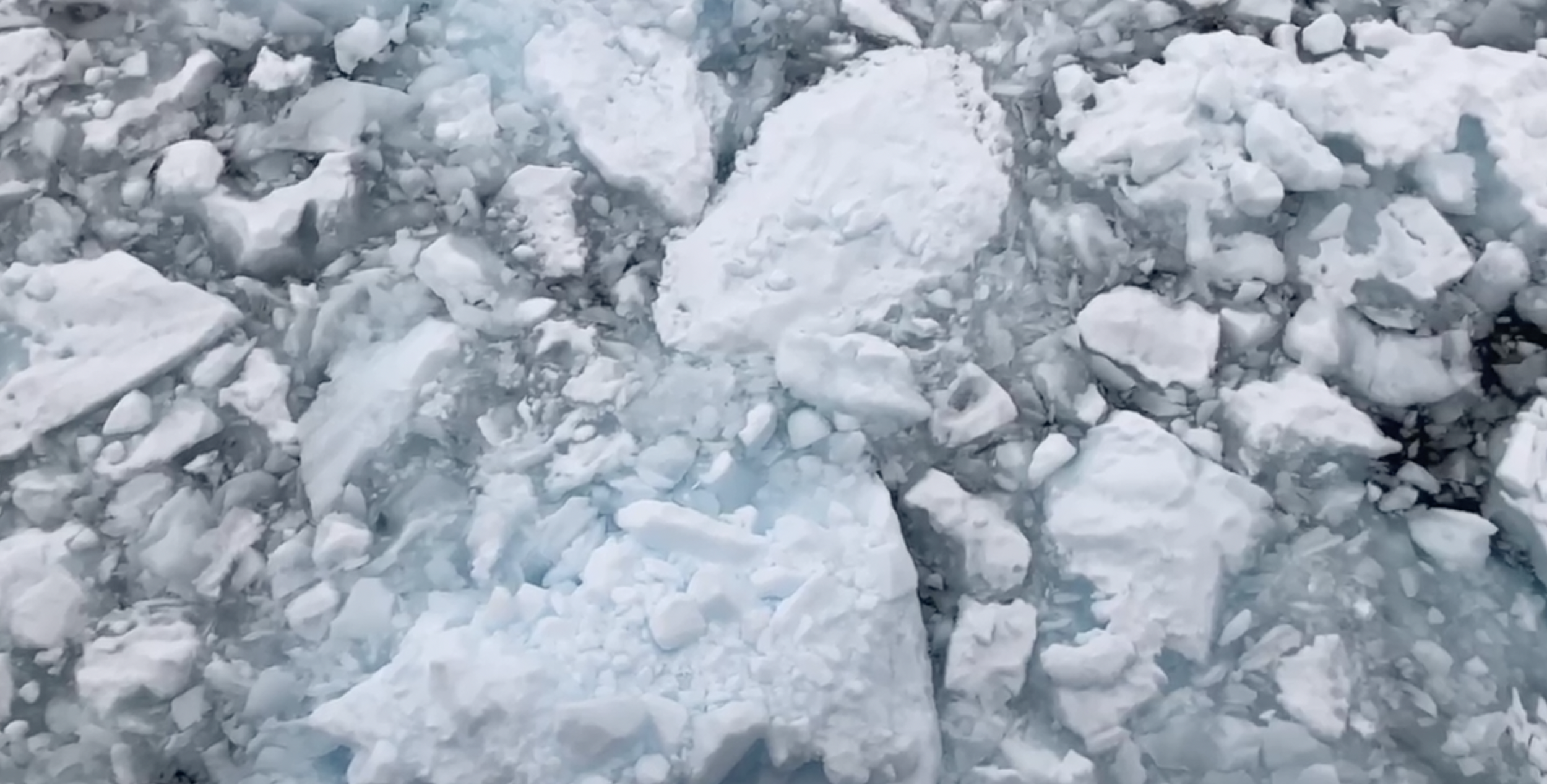 Screen Shot 2024-12-08 at 2.23.26 PM.png