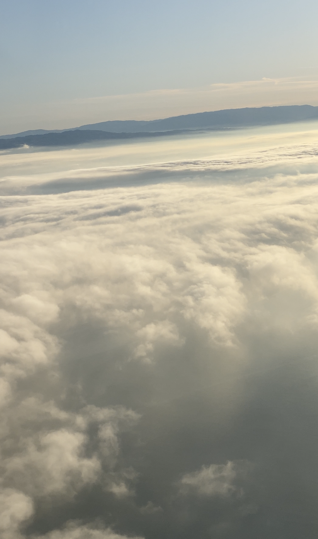 Screen Shot 2024-01-24 at 7.36.31 PM.png