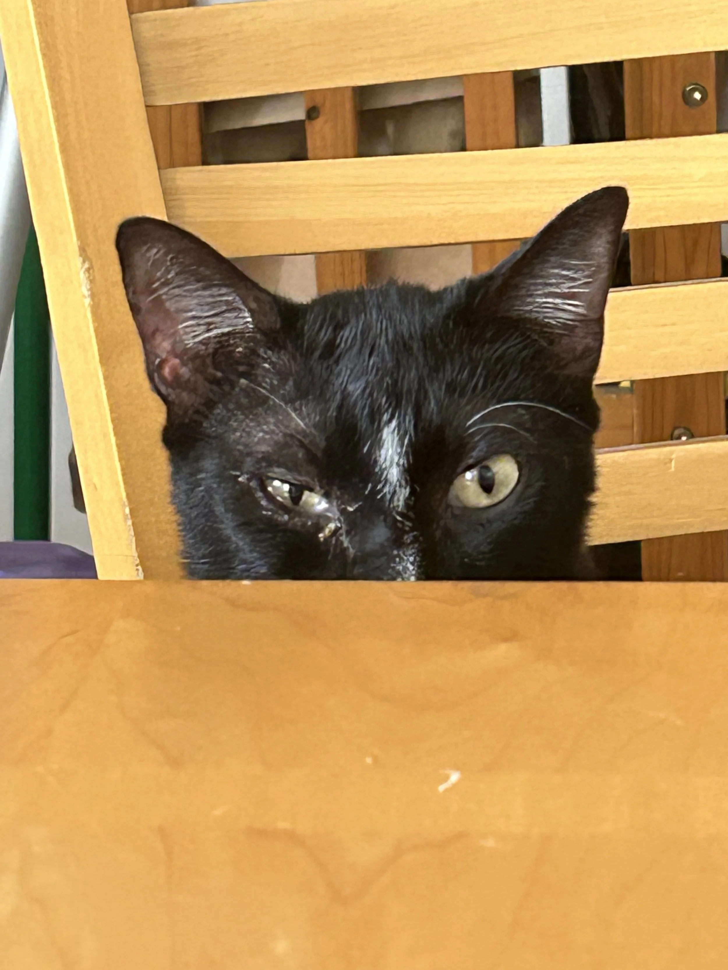 Problems with computers 