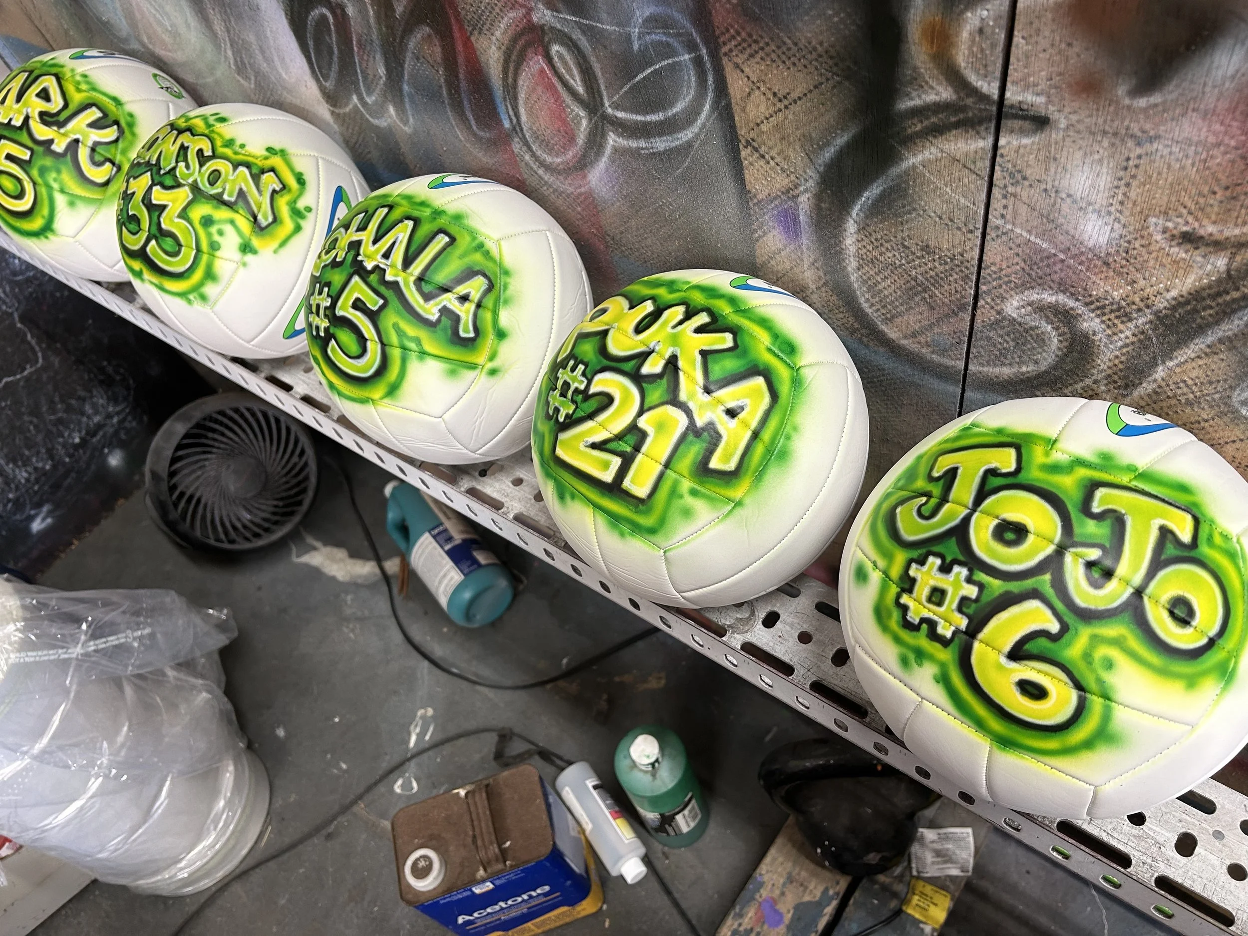 airbrushed volleyballs