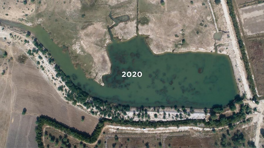 In 2013, by employing indigenous knowledge systems, we created a community pond with a capacity to collect 140 million liters of rainwater. This raised the groundwater table which helped recharge ancient abandoned wells and revived perennial farming 