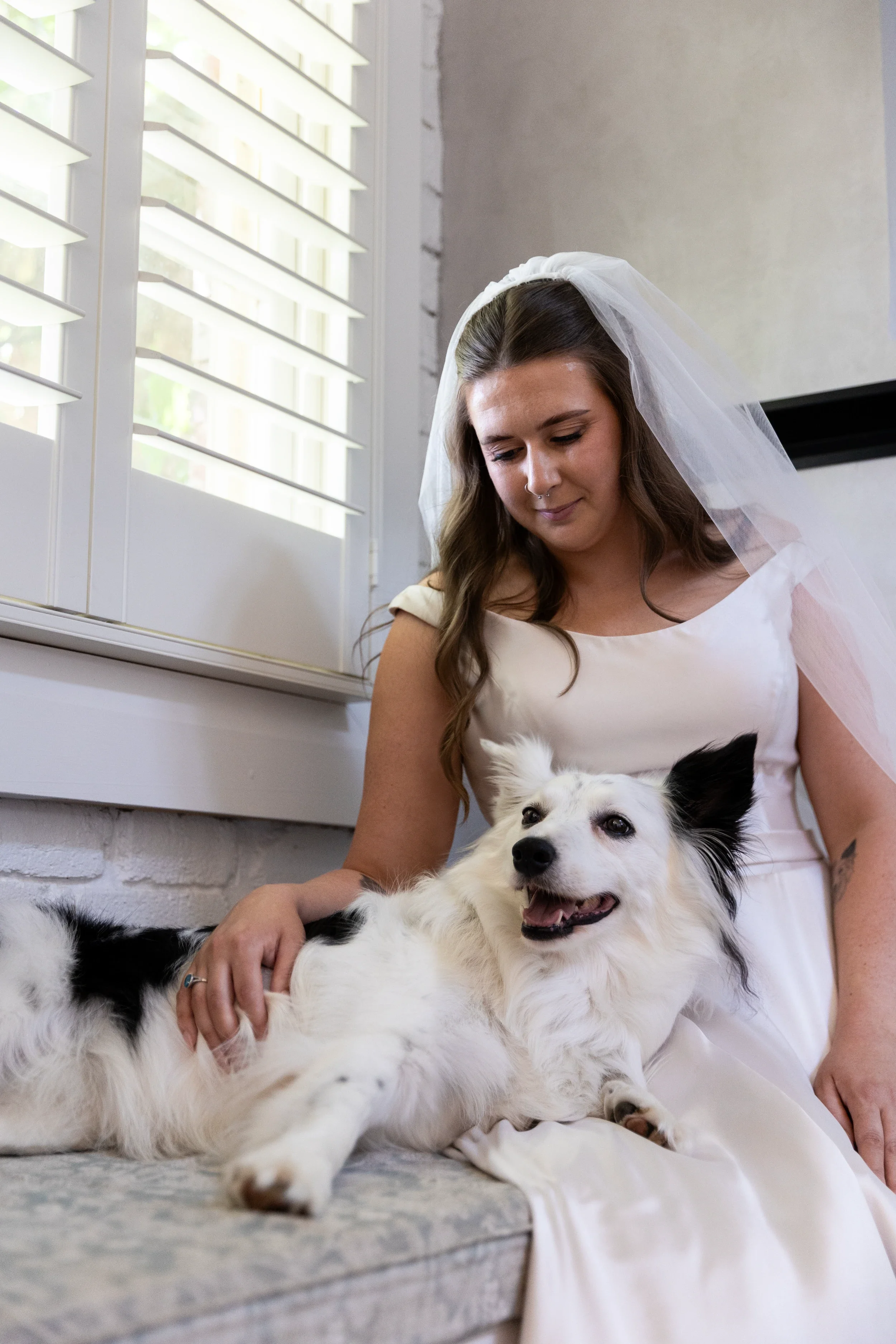 rogue-paws-photography-dog-wedding-photography-06.webp