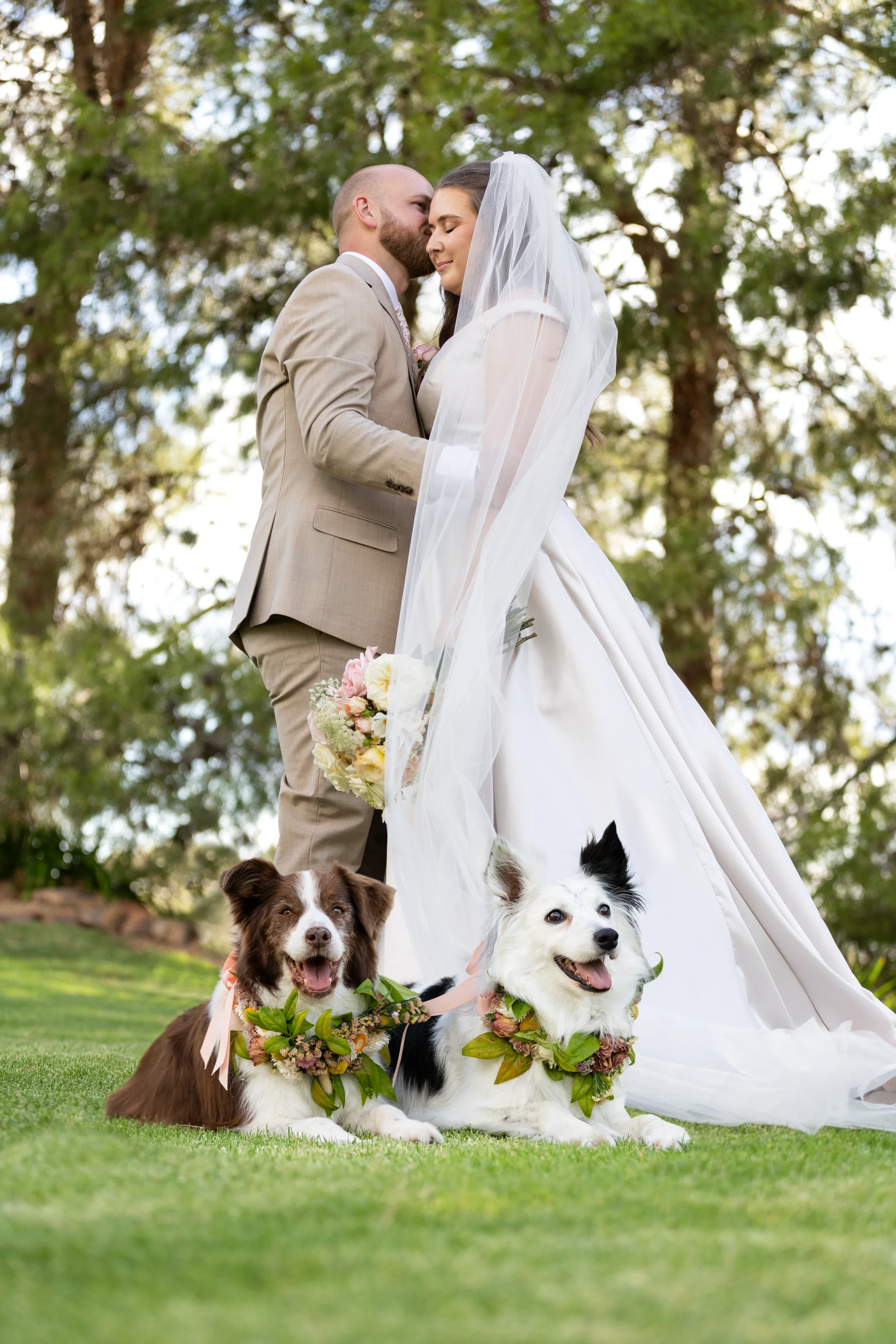 rogue-paws-photography-dog-wedding-photography-27.webp