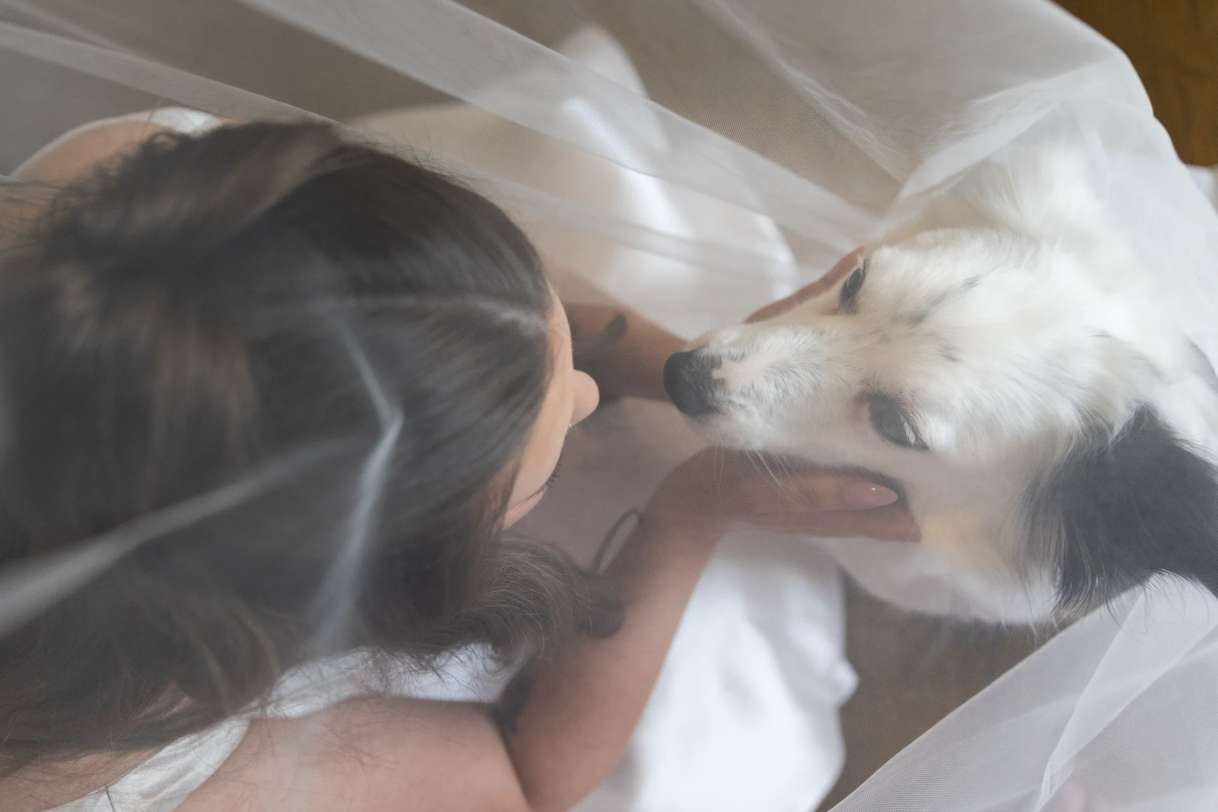 rogue-paws-photography-dog-wedding-photography-07.webp