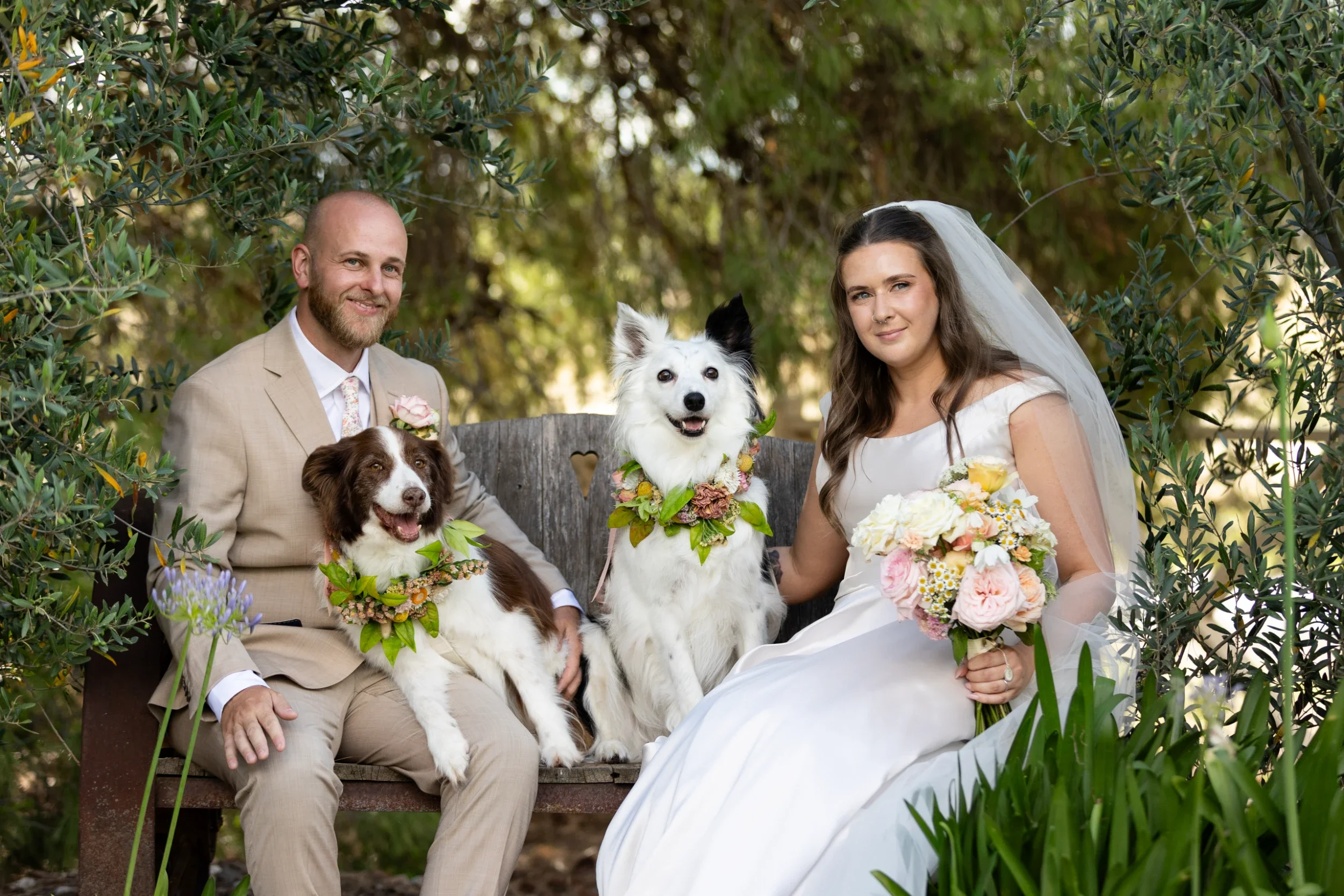 rogue-paws-photography-dog-wedding-photography-28.webp