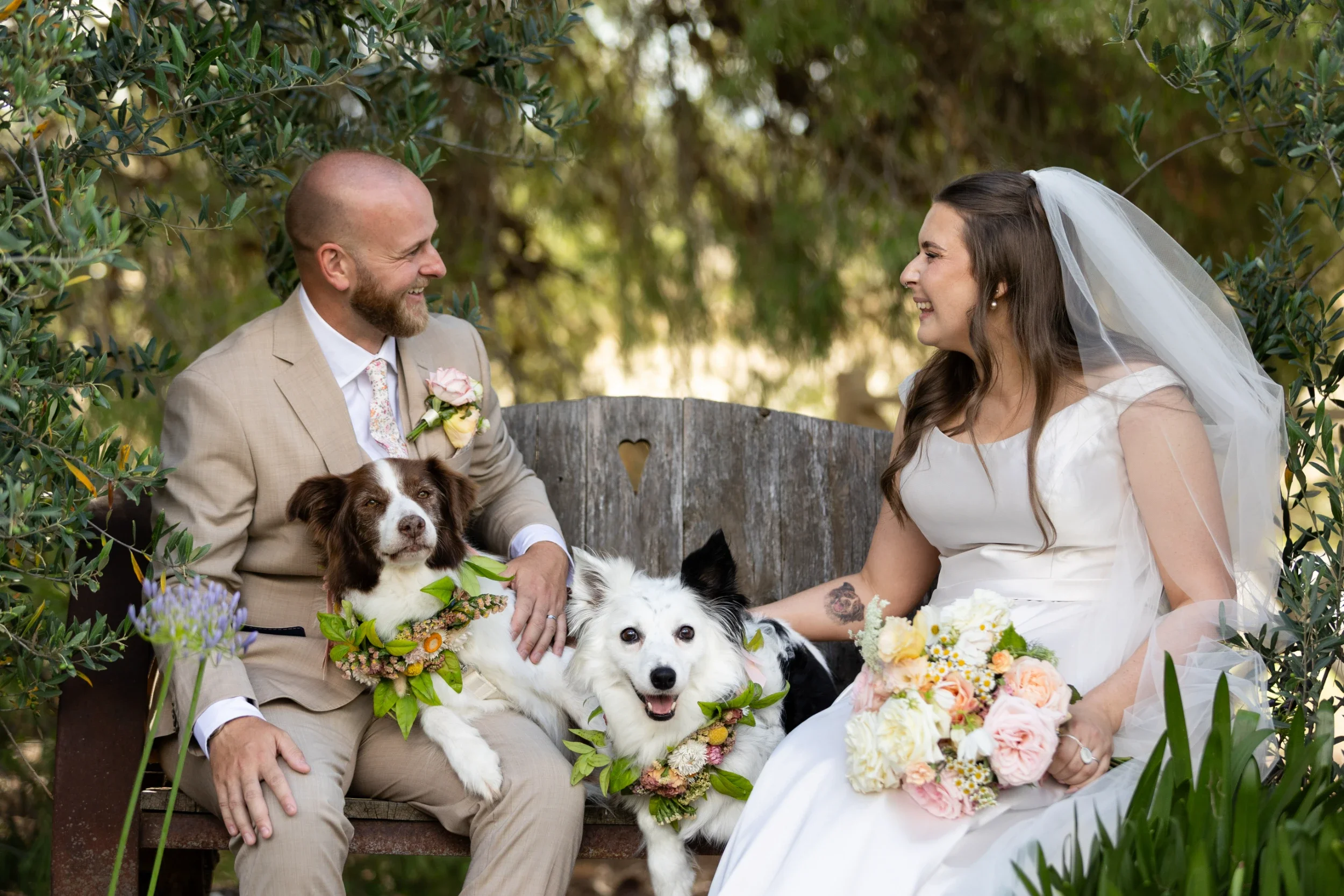 rogue-paws-photography-dog-wedding-photography-29.webp
