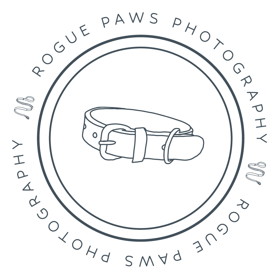 Logo of Rogue Paws Photography featuring a dog collar graphic within a circular design.