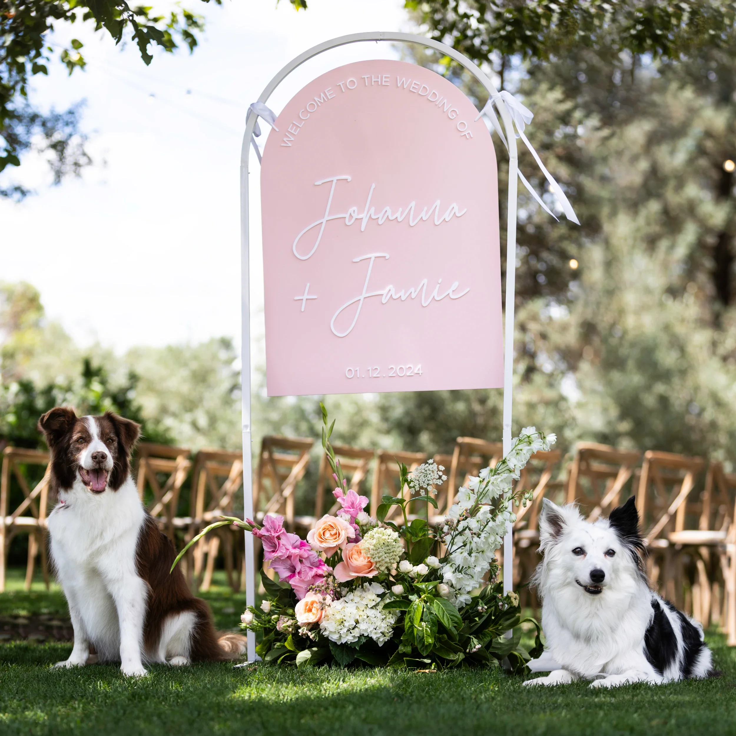 rogue-paws-photography-dog-wedding-photography-01.webp