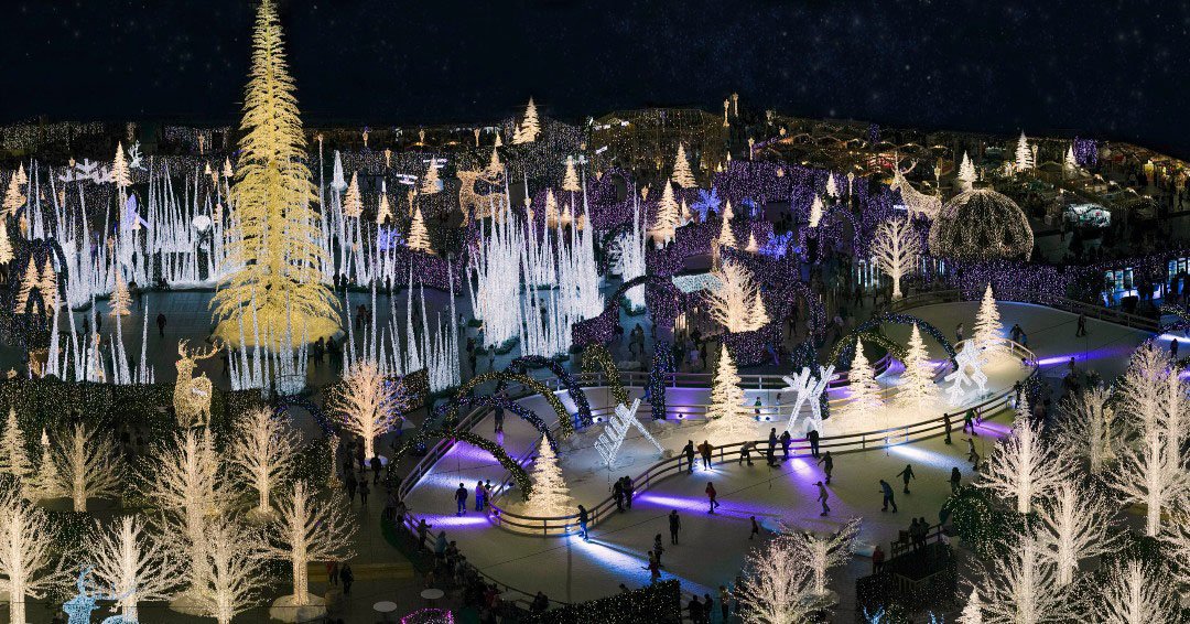 christmas trees and skating rink