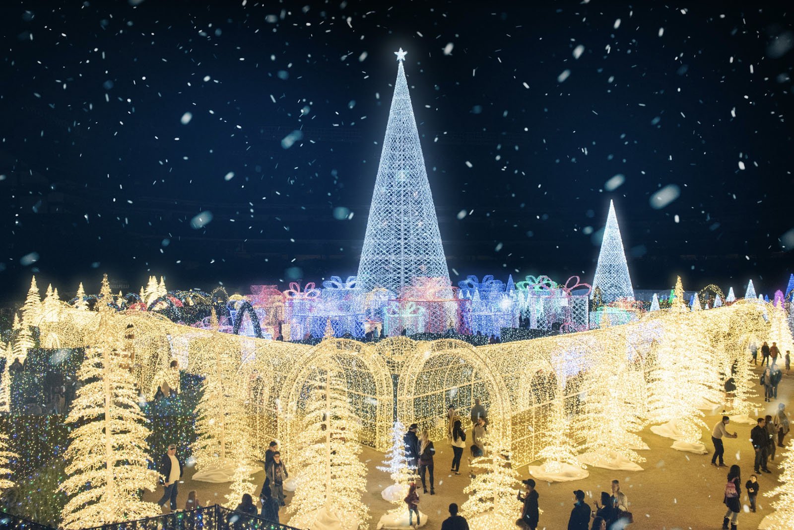 christmas lights