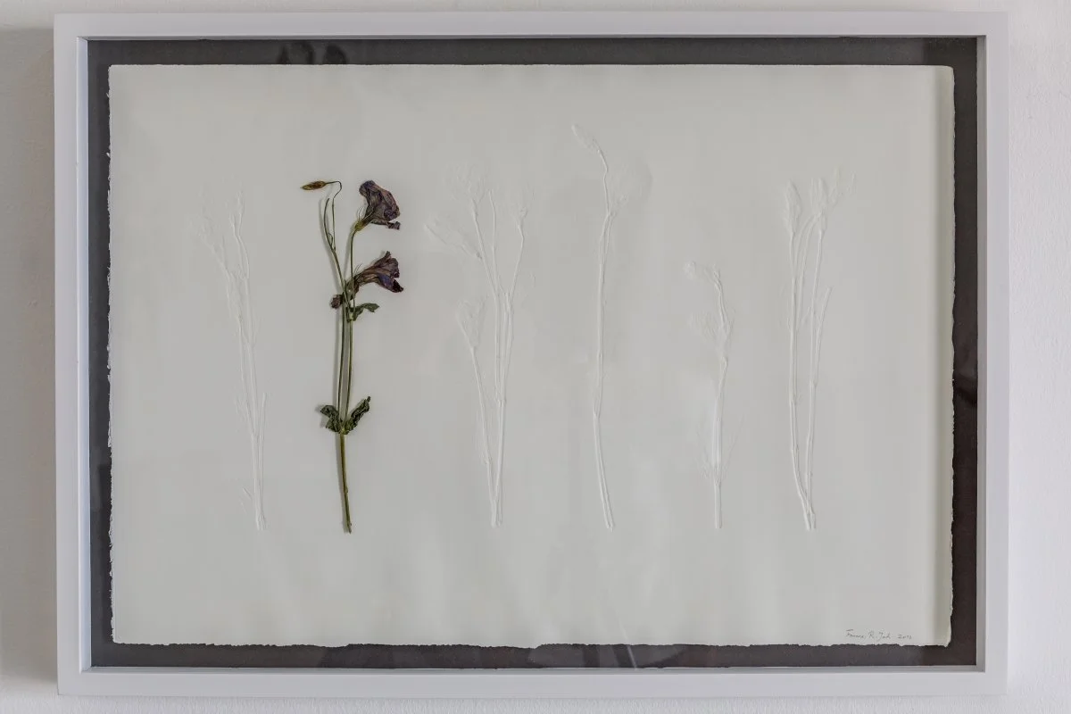 1490537724_Farnaz+Rabieijah_The+Spinning+Plate+6+series_Chalcography+Relief+Print+on+Cotton+Sheet_70x48.5cm_Single+Edition_2016.jpg