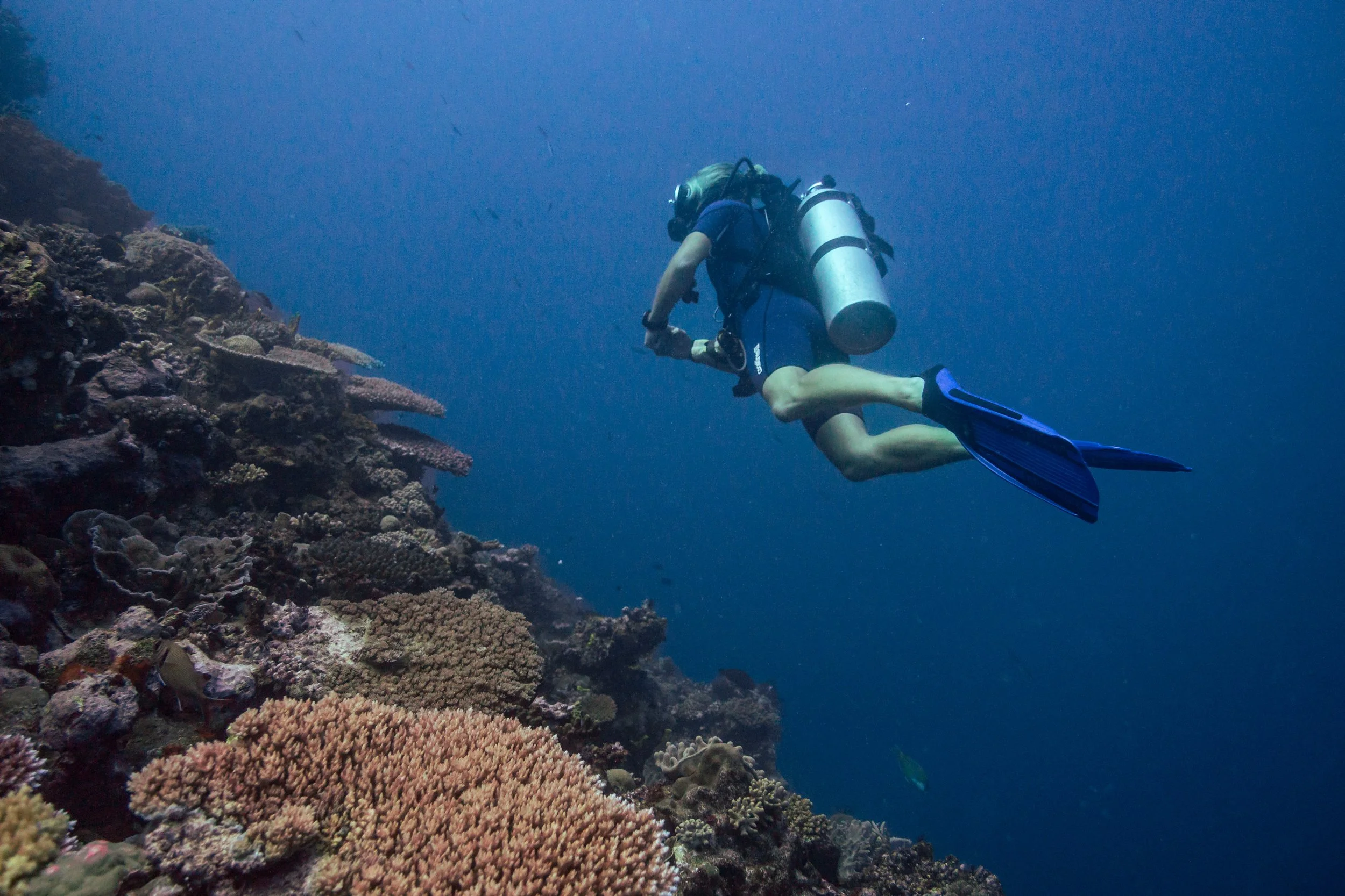 Fiji-2.jpg