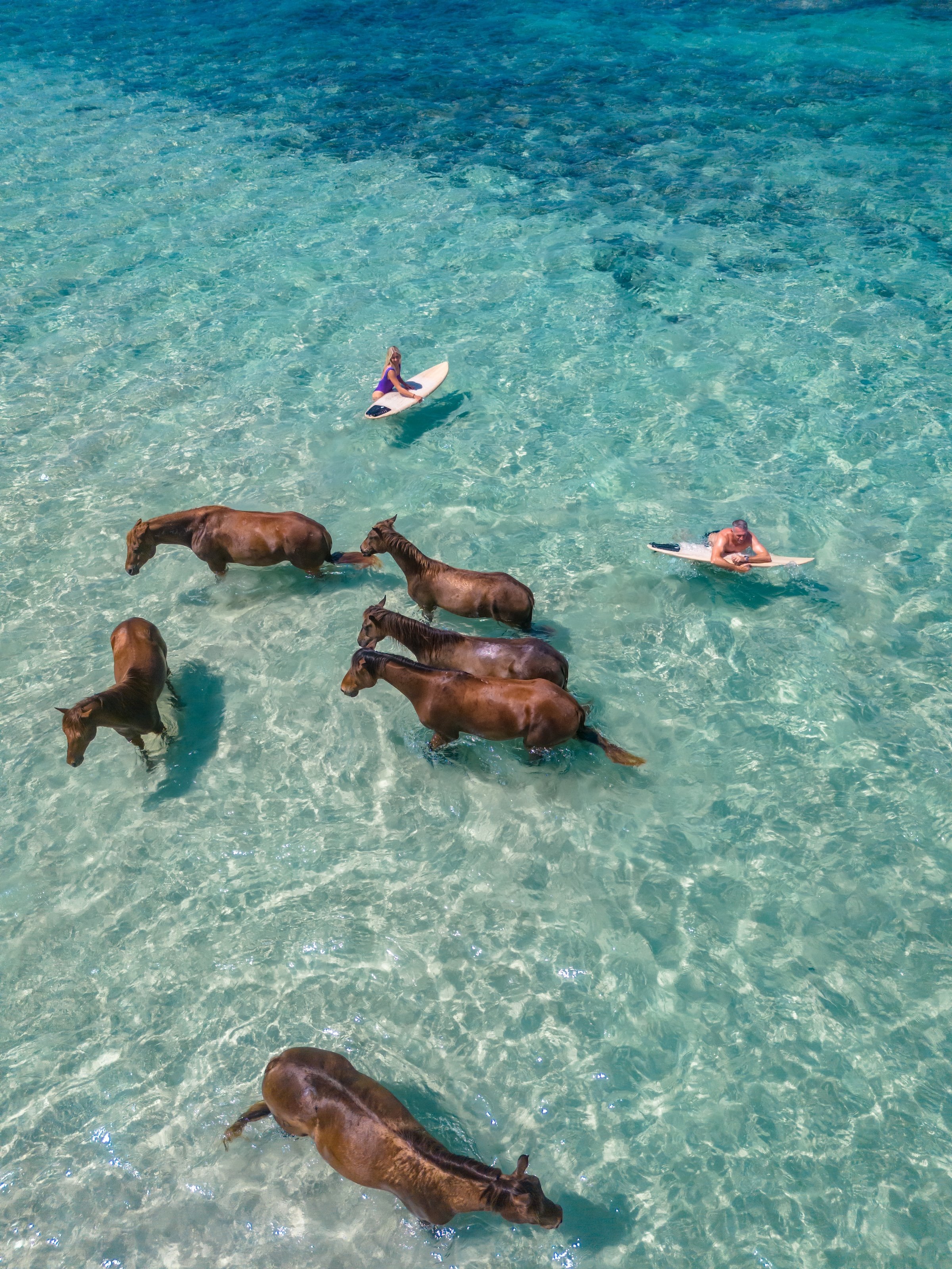 Nihiwatu Resort Sumba-4.jpg