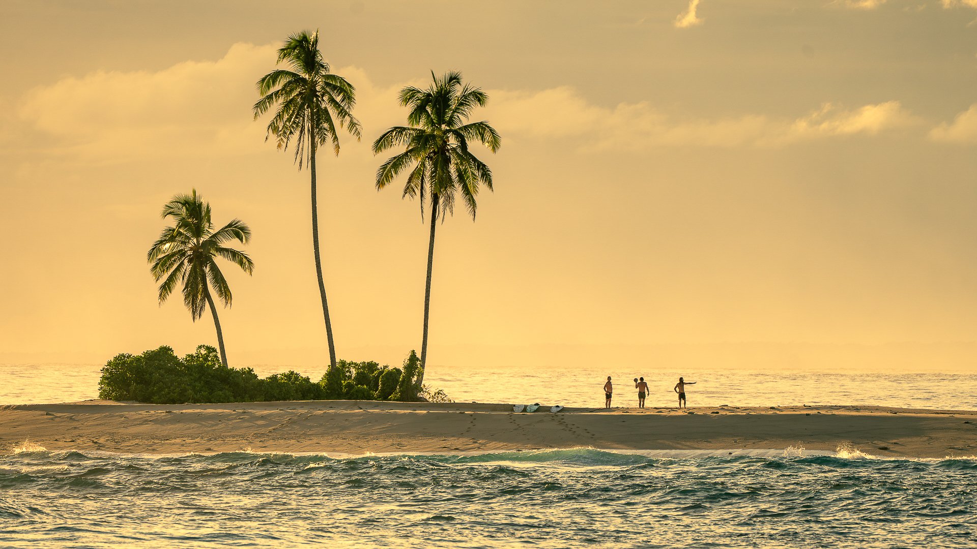 Surfers standing on a remote island lined with palm trees at sunset