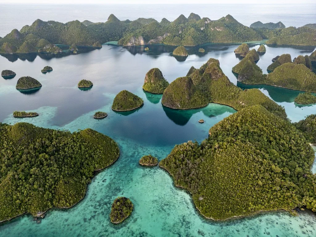 Best surf trip indonesia