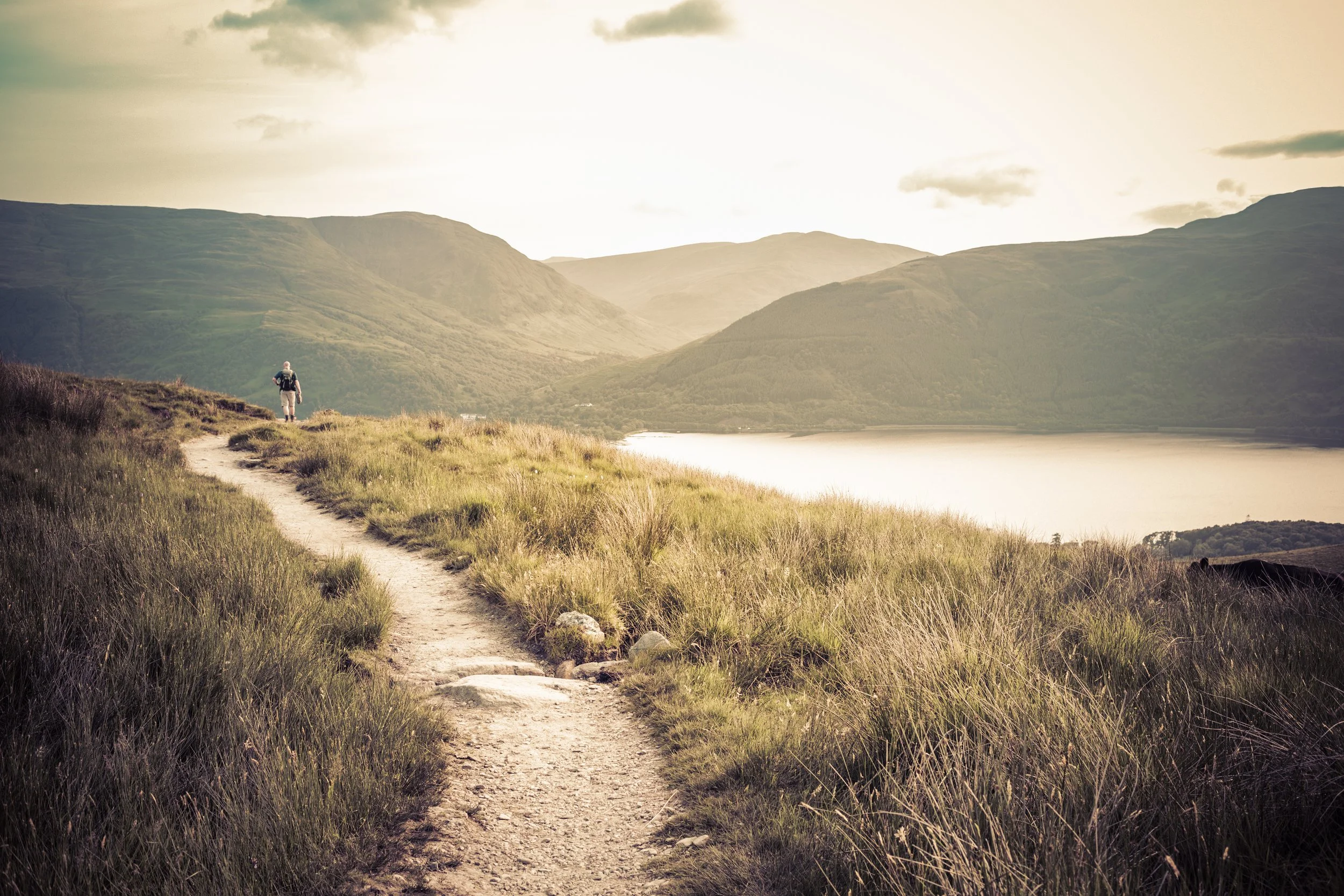 iStock-482880743.jpg