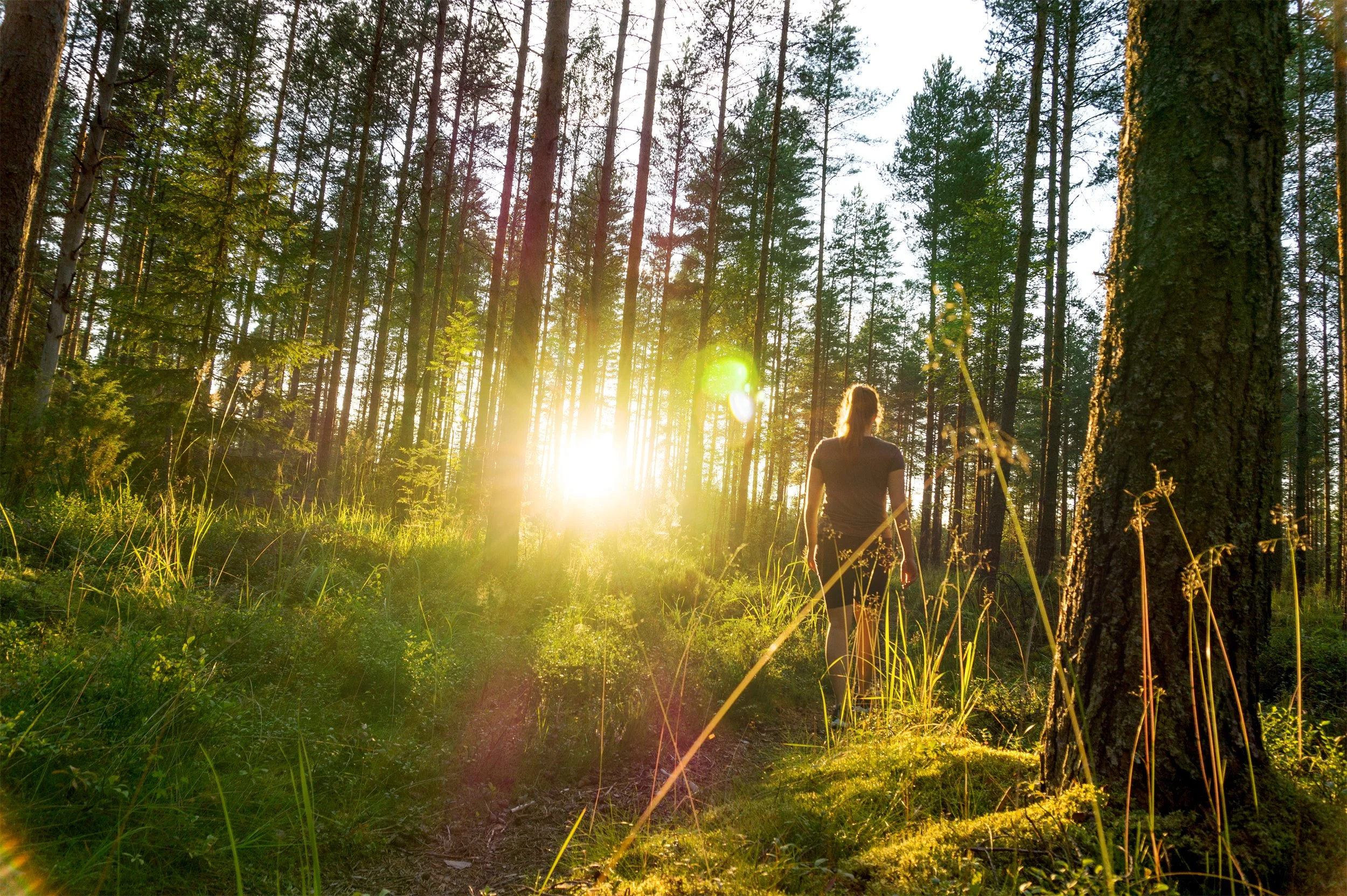 iStock-832186516.jpg