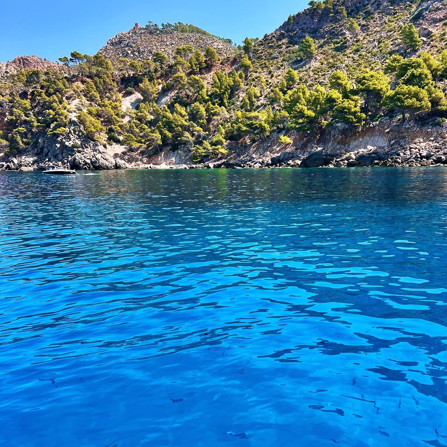 🌊 Sum&eacute;rgete en la tranquilidad y deja que la brisa marina te lleve lejos de la rutina.

🚤 Descubre y vive una experiencia inolvidable desde el mar. #aventura #charter #charteryacht #AmarExperience #explorabaleares