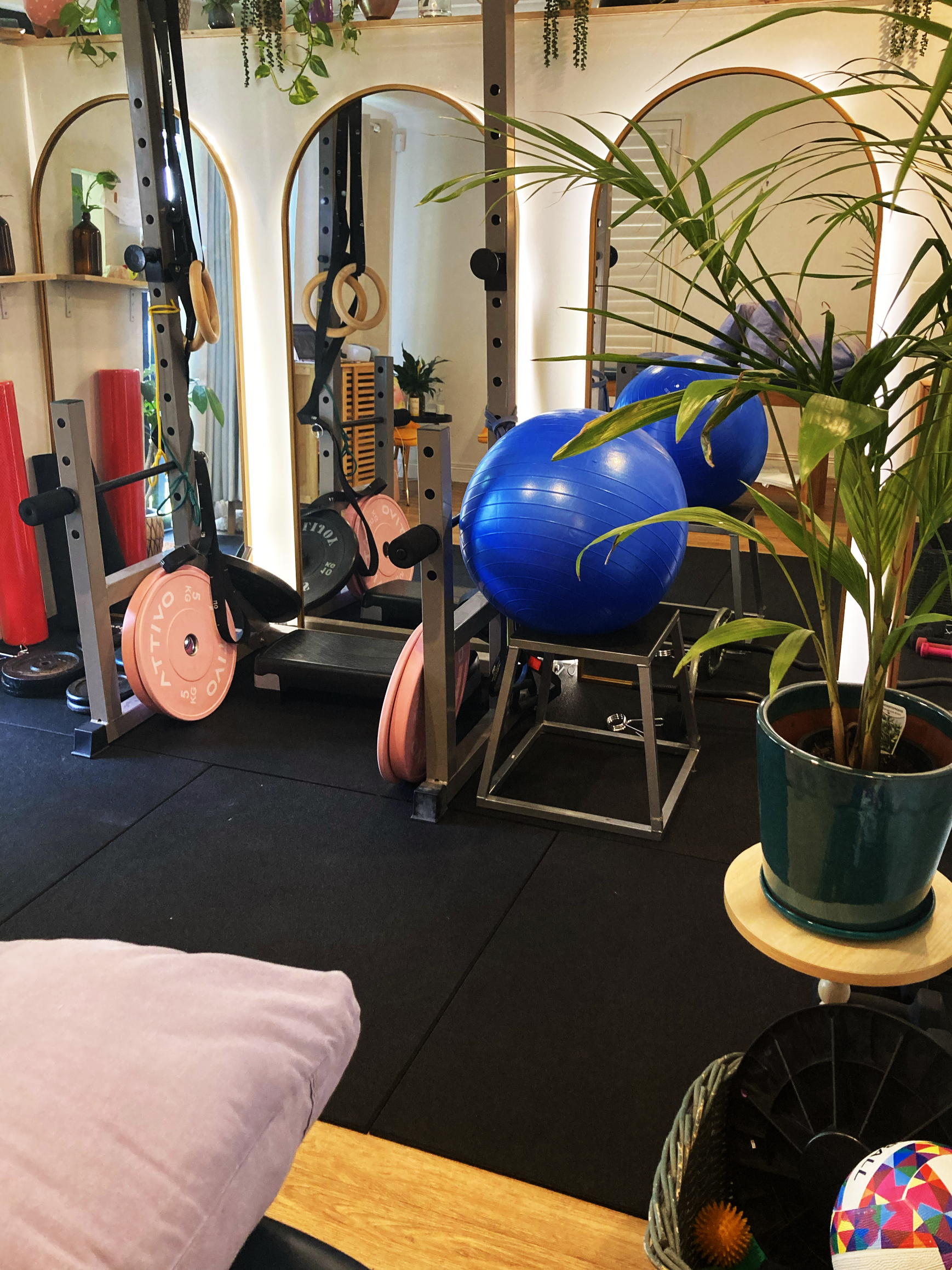 Home gym area with resistance weights, blue exercise balls, a small workout platform, and a potted plant on a side table.