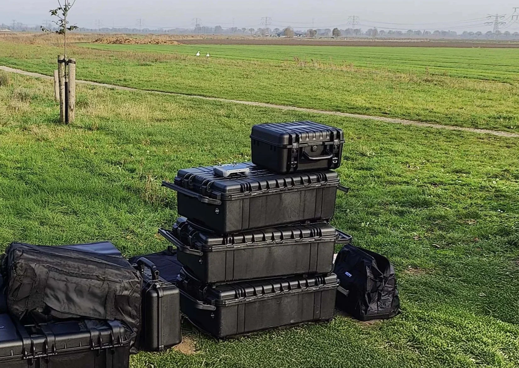 Stack of black equipment cases and bags placed on green grass in an open field, with a trail and two white geese in the background.