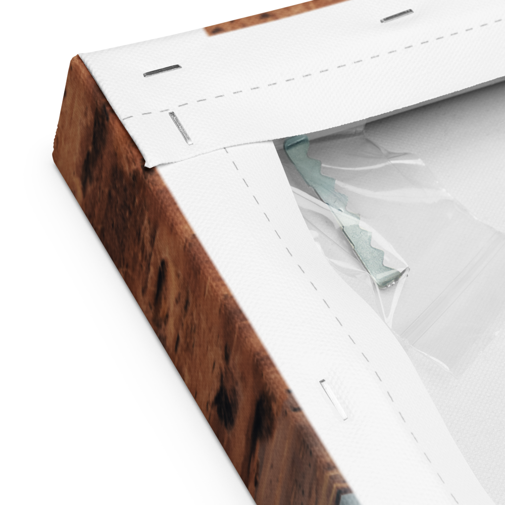 canvas-(in)-16x20-product-details-6512d19e13c13.png
