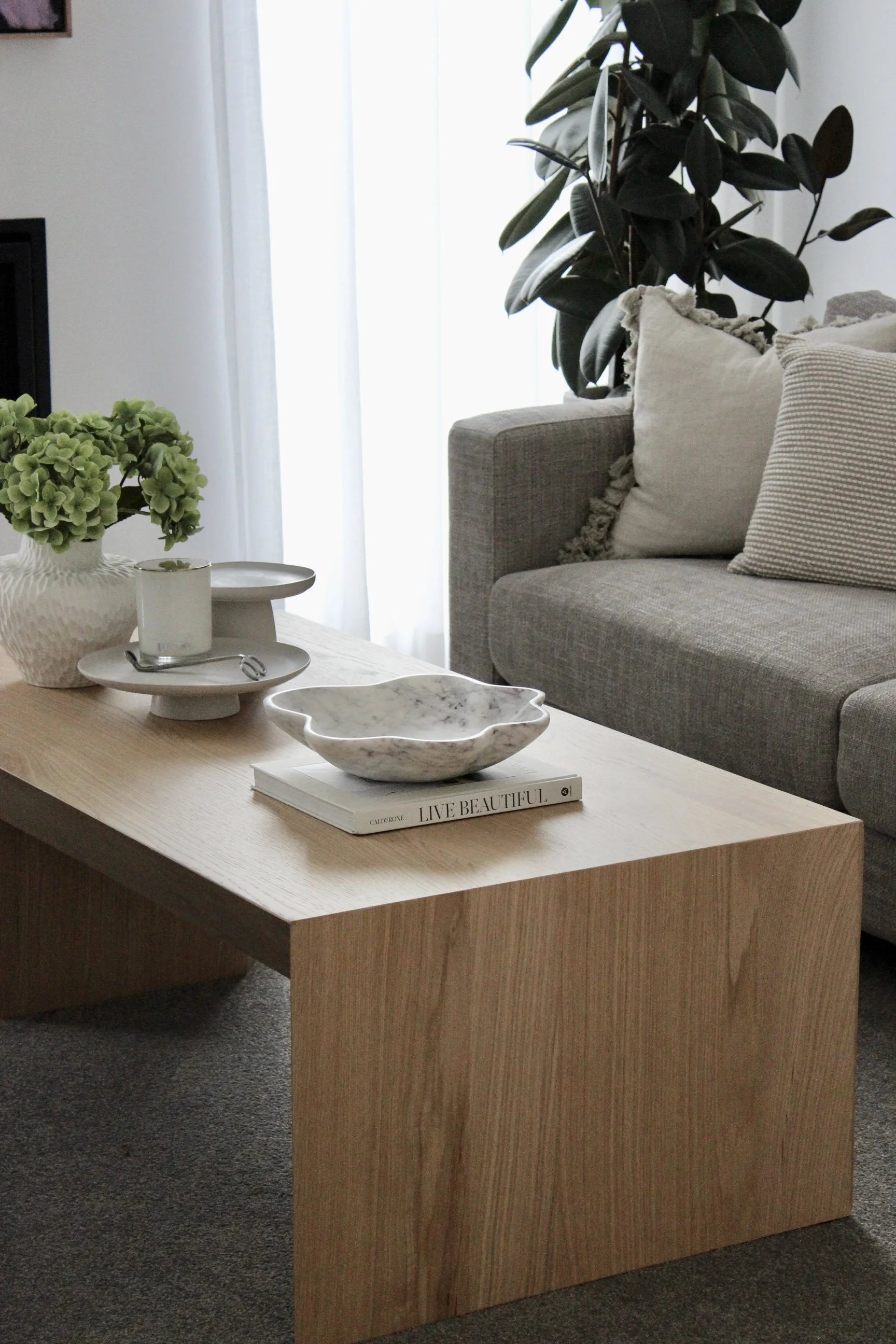 A living room with a light wooden rectangular coffee table, a beige sofa with pillows, a large potted plant, and a window with white curtains in the background.