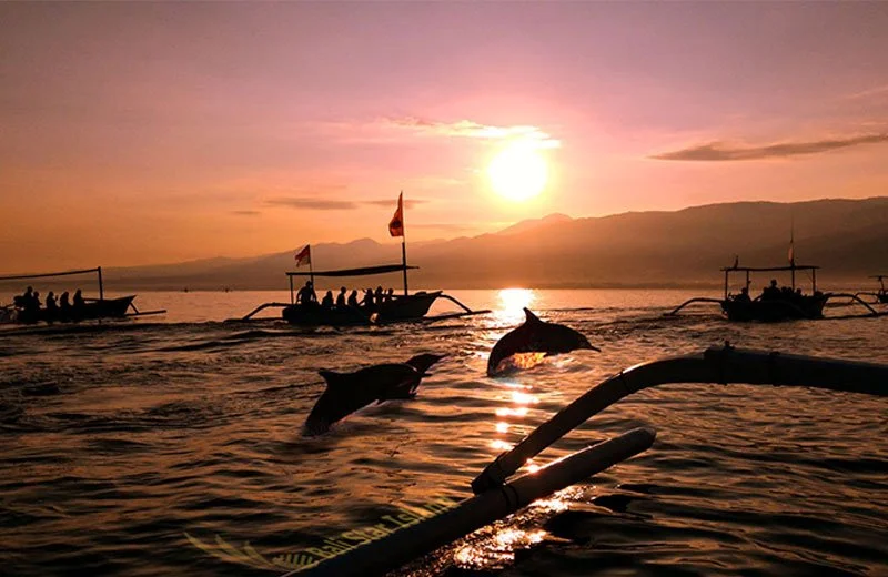 lovina-sunrise-dolphin-watching-tour-2.jpg