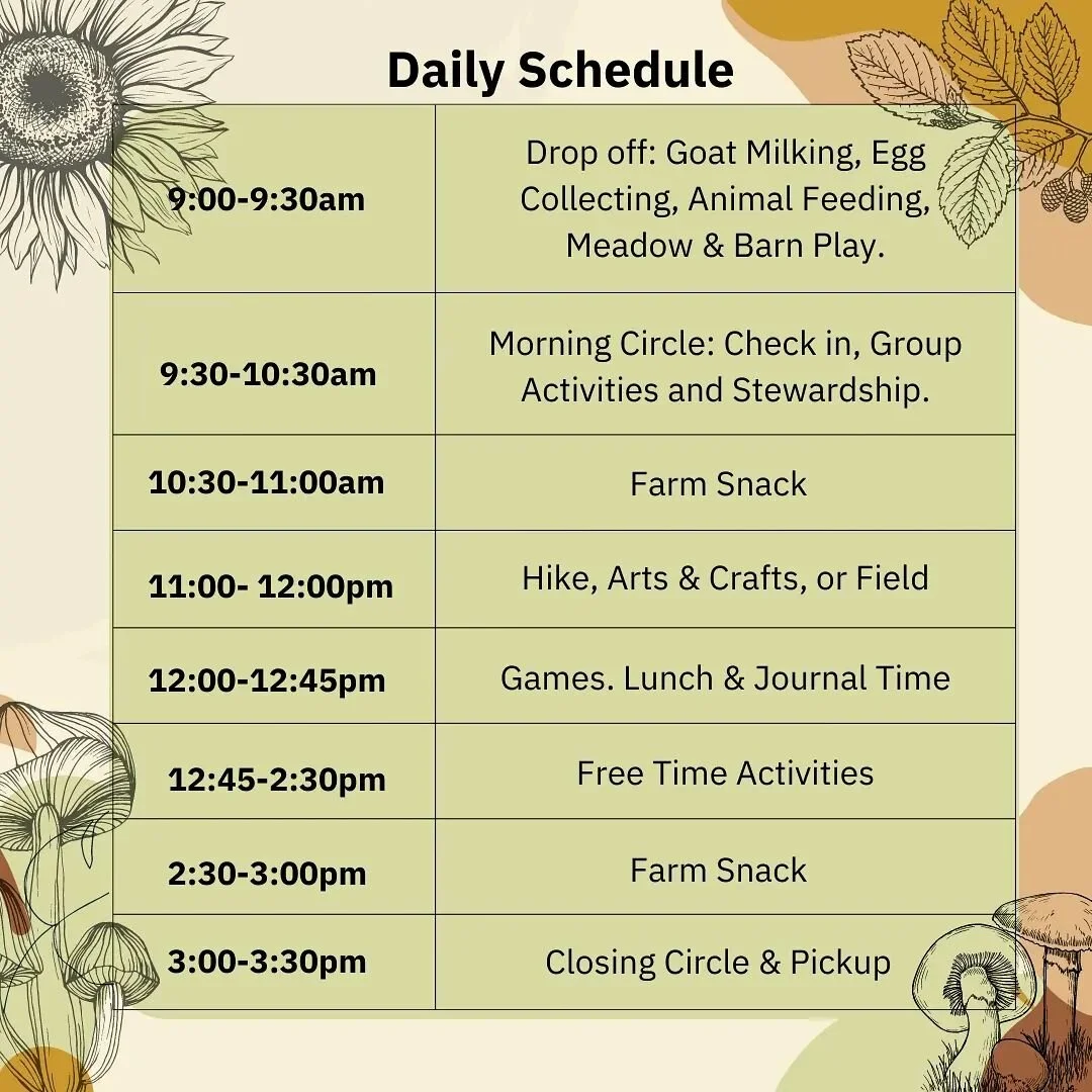 Daily Camp Schedule 🌻

#NellieCreekCamp #summer #summercamp2023 #nature #mushroom #corbett #oregon #fun #forage